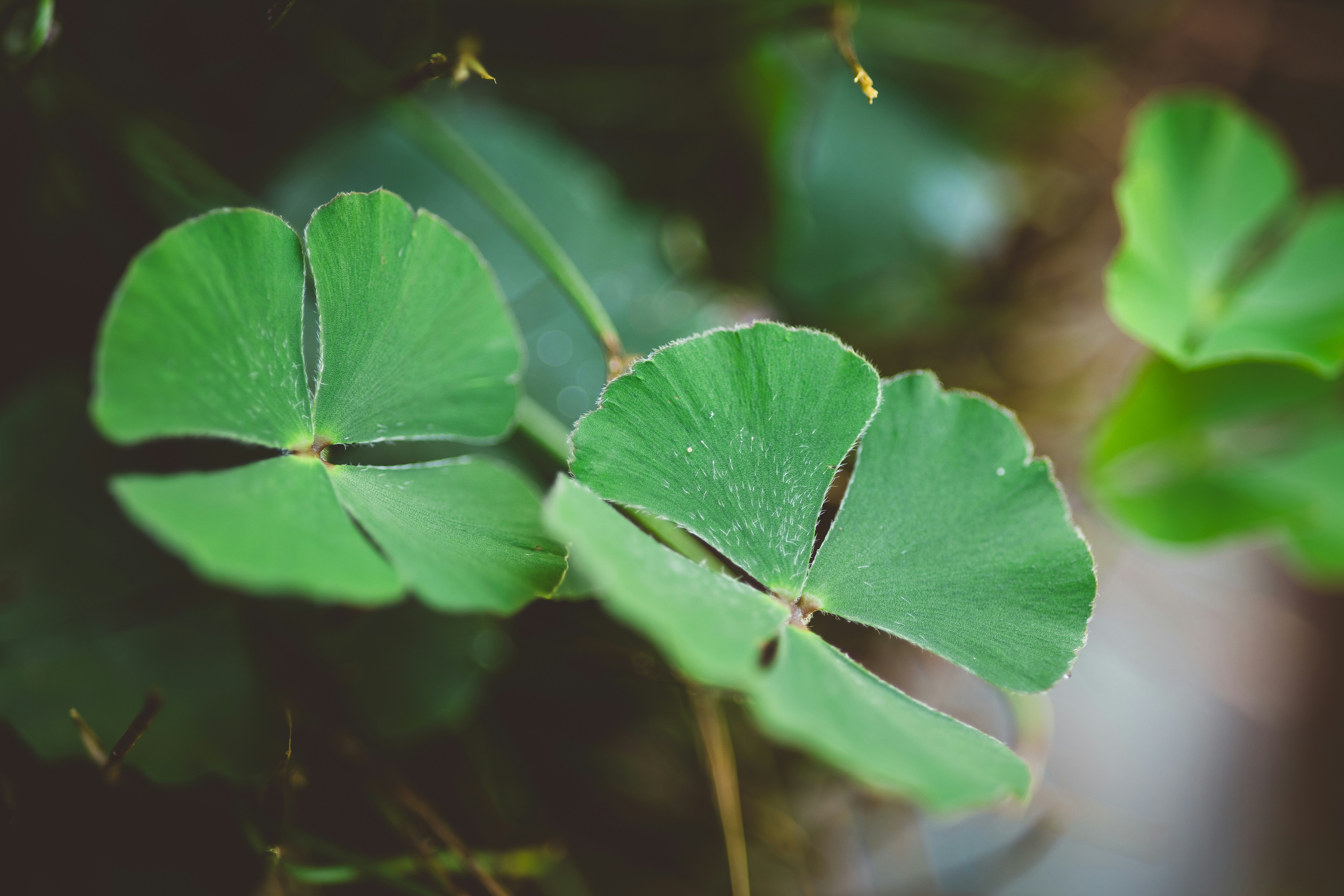 Photo by rrodriguesim