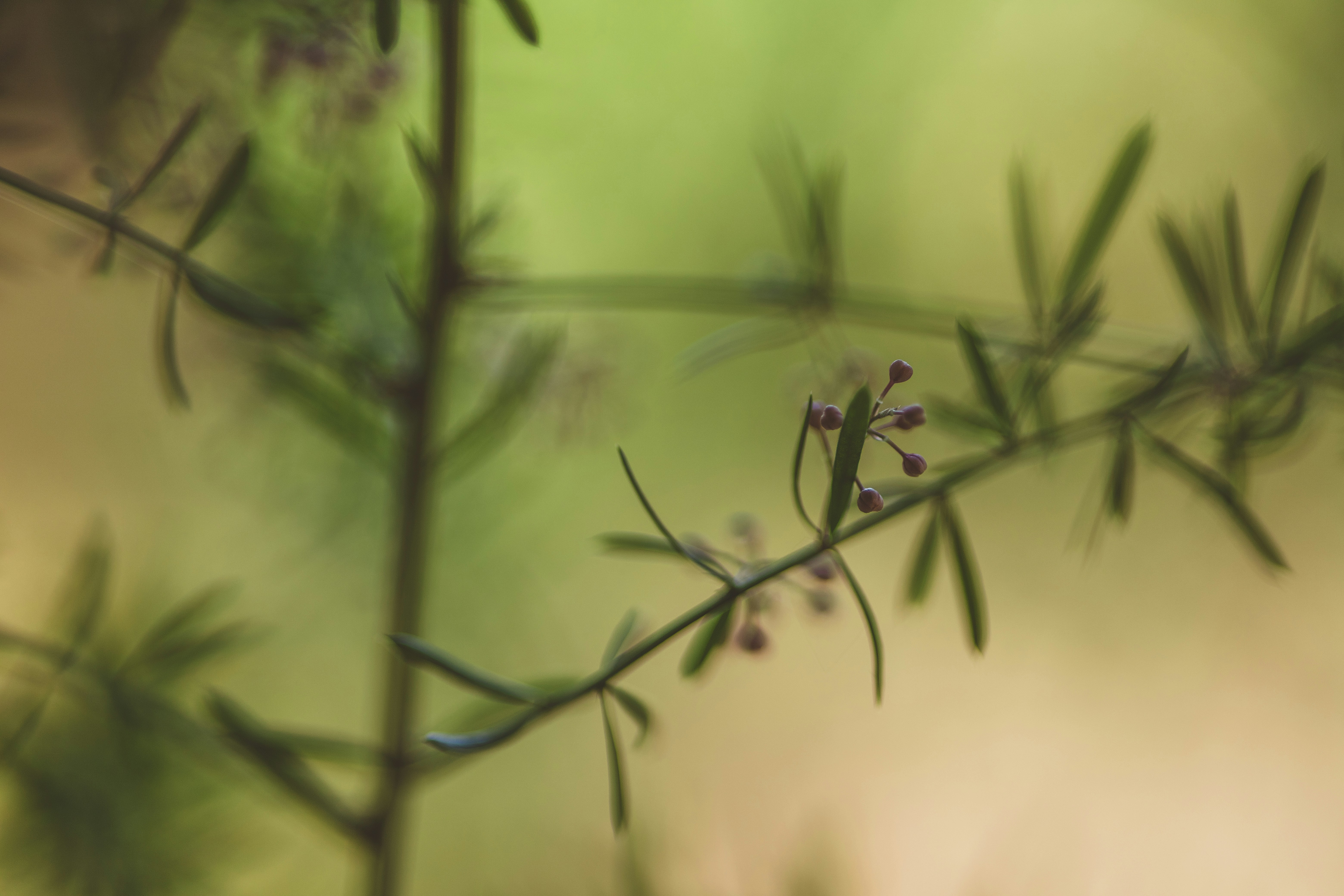 Photo by rrodriguesim