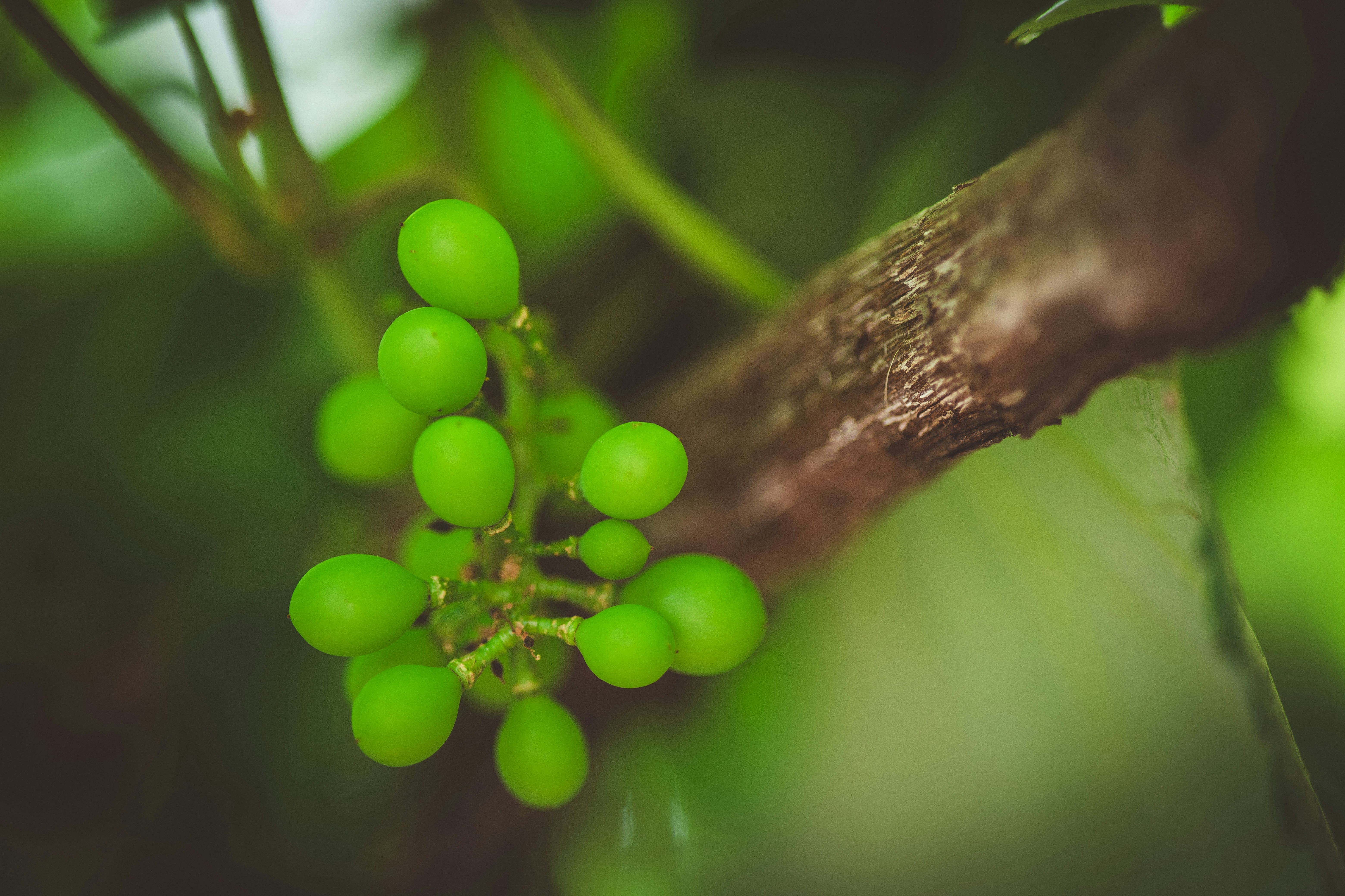 Photo by rrodriguesim