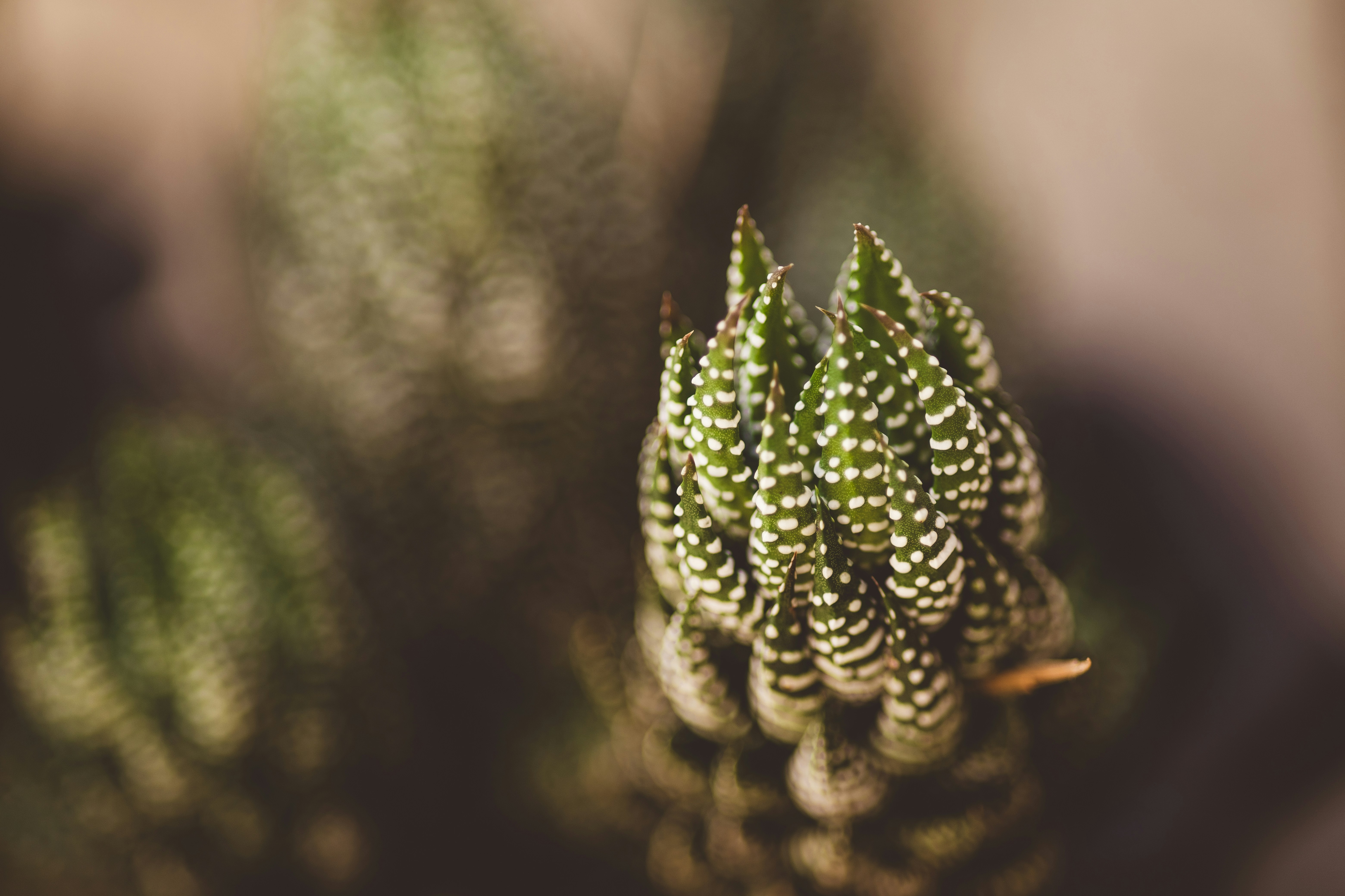 Photo by rrodriguesim