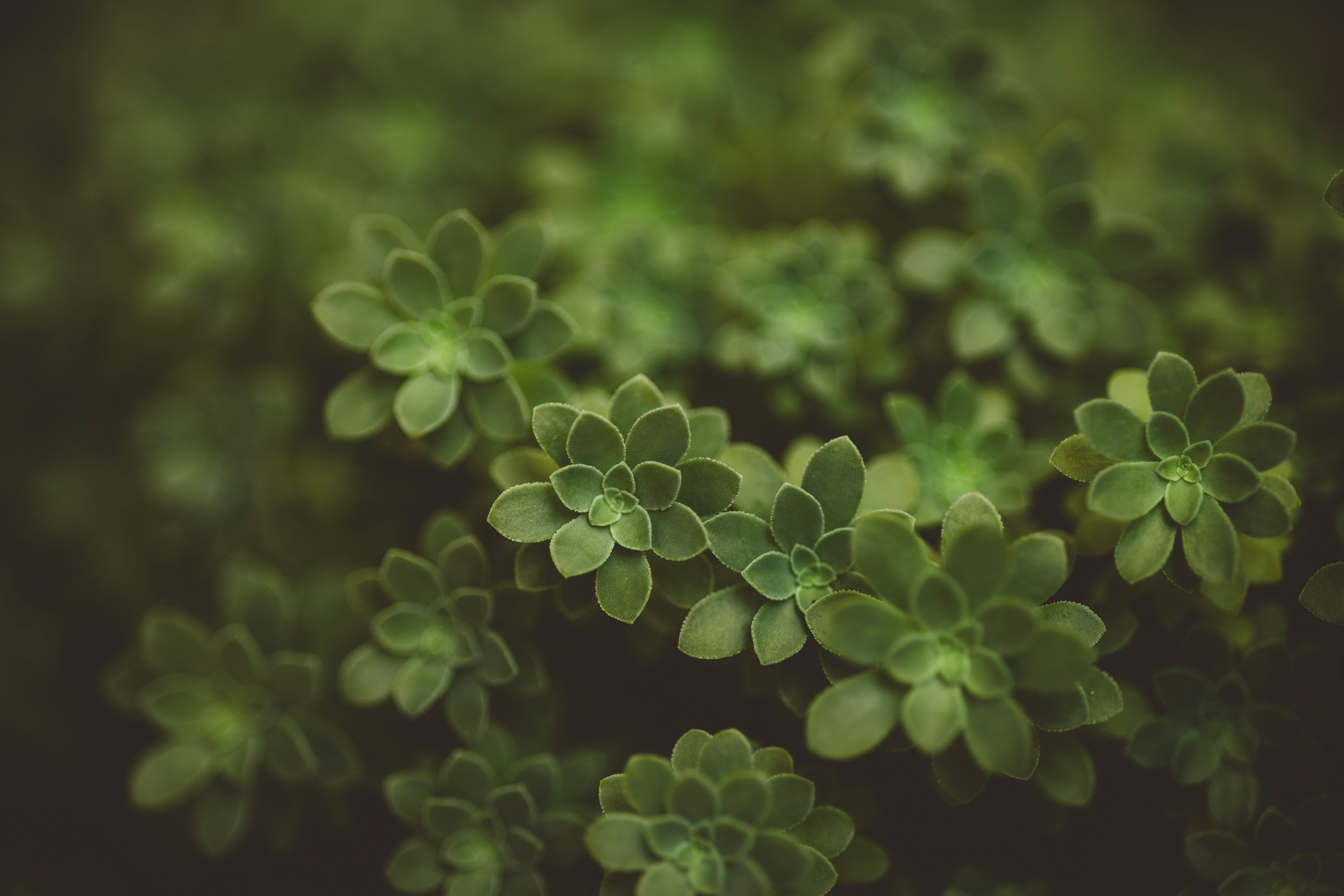 Photo by rrodriguesim