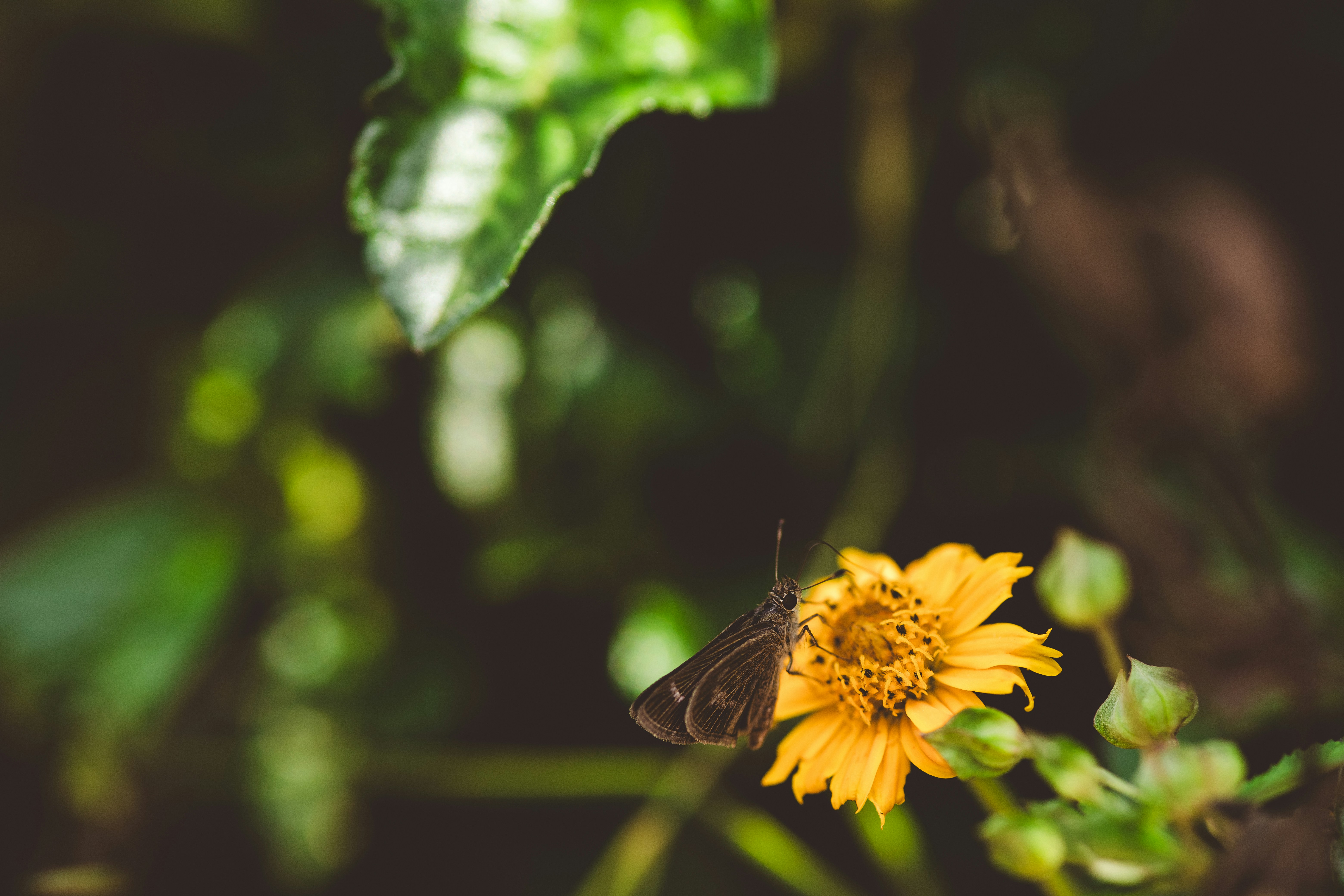 Photo by rrodriguesim