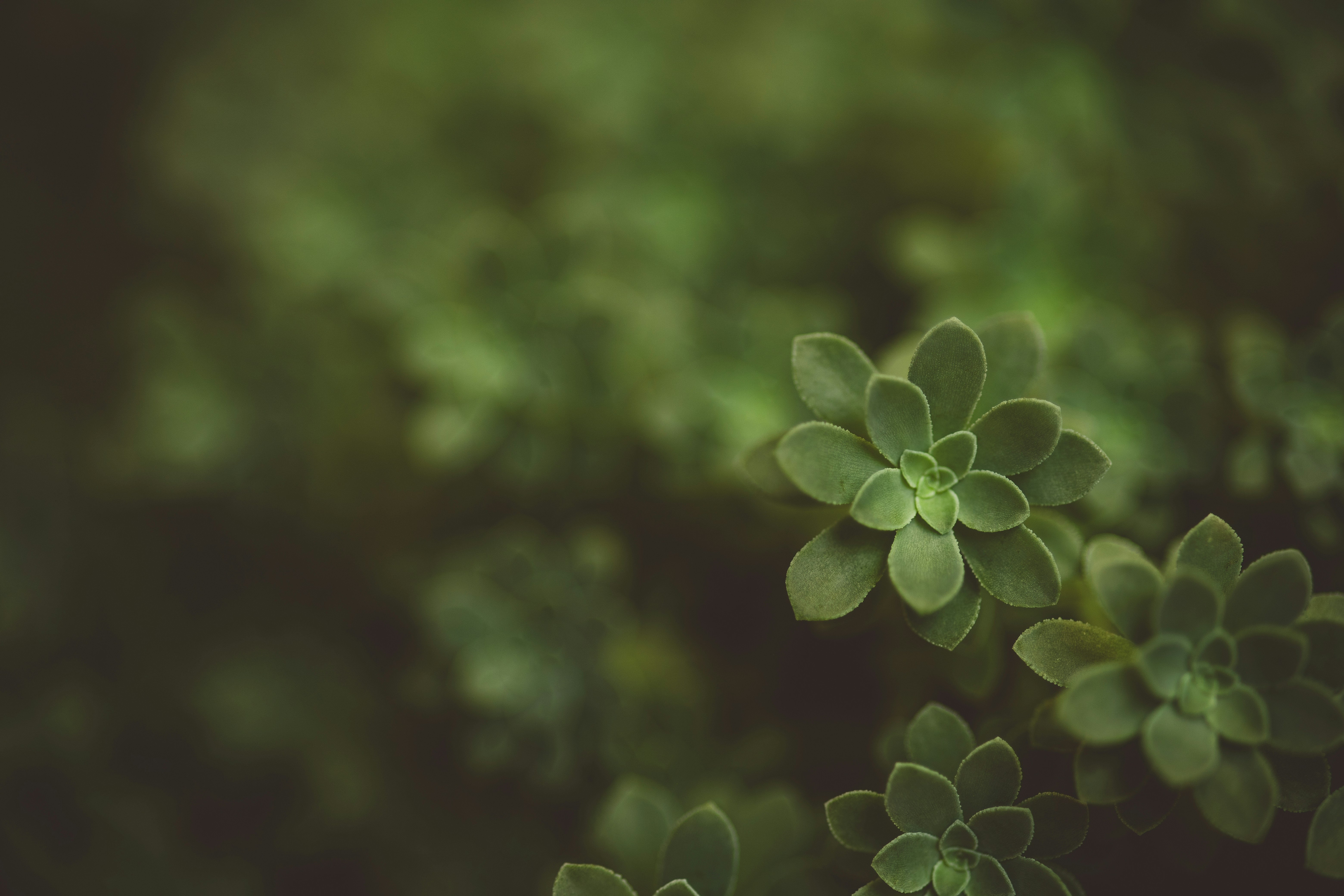 Photo by rrodriguesim