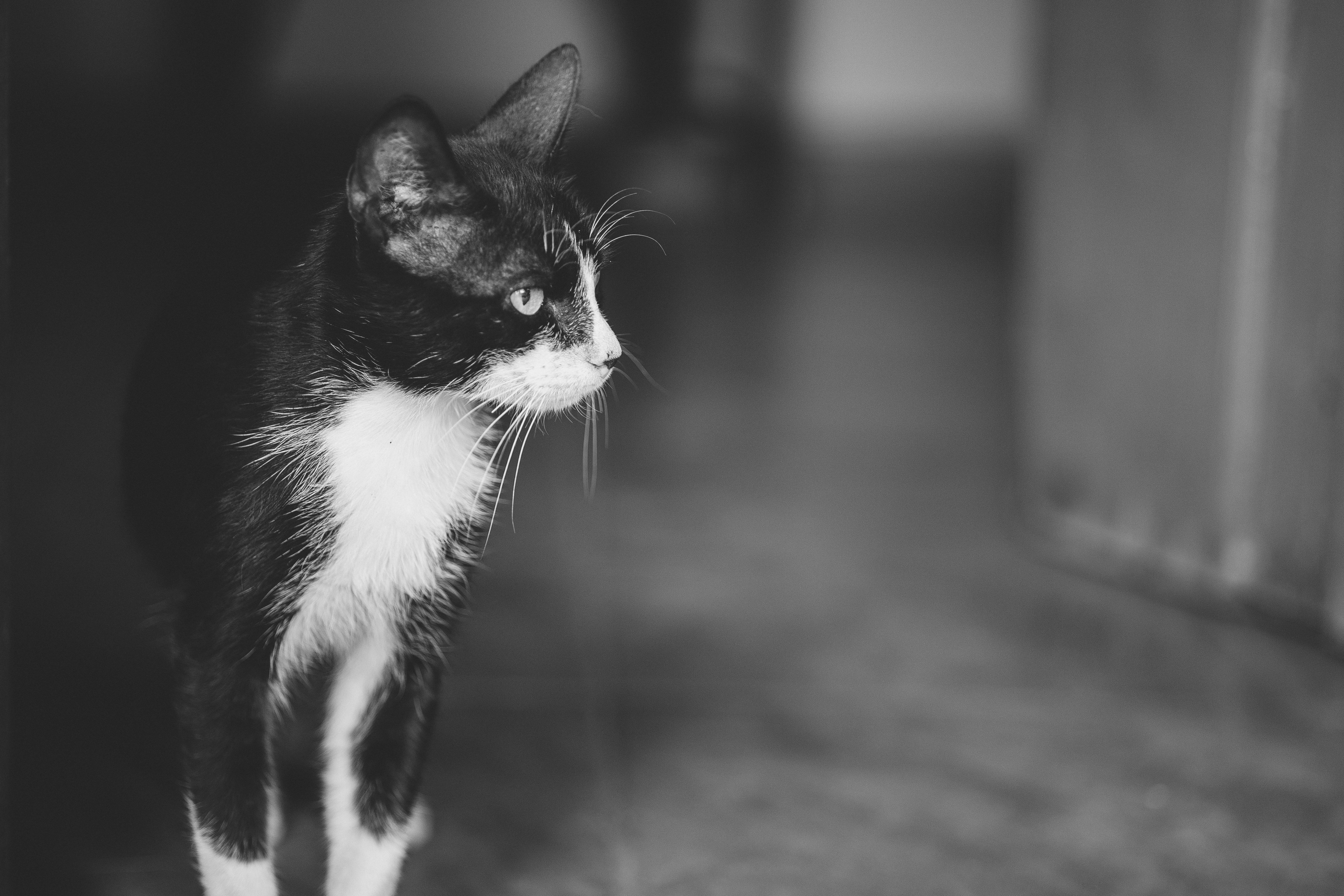 Photo by rrodriguesim