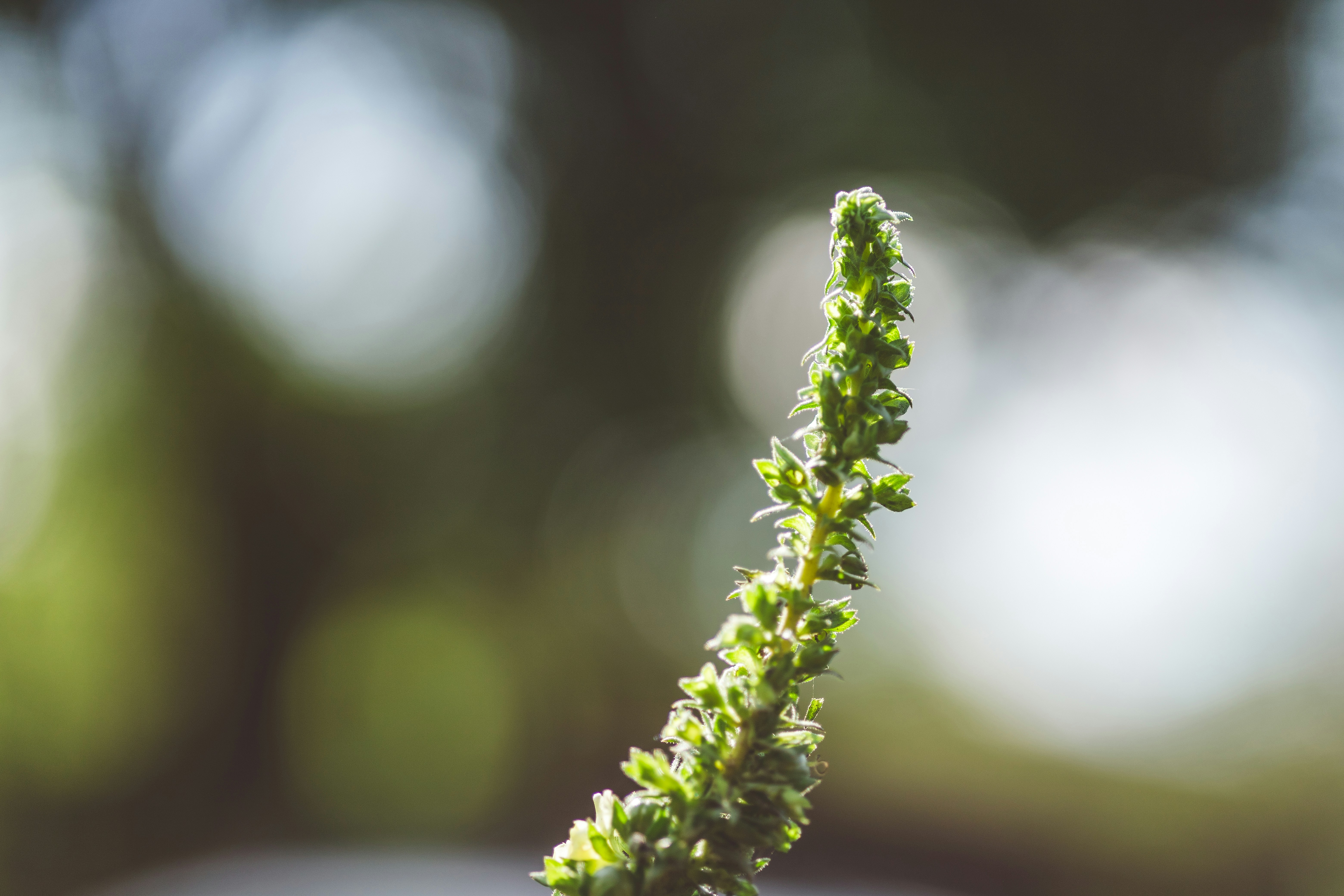 Photo by rrodriguesim