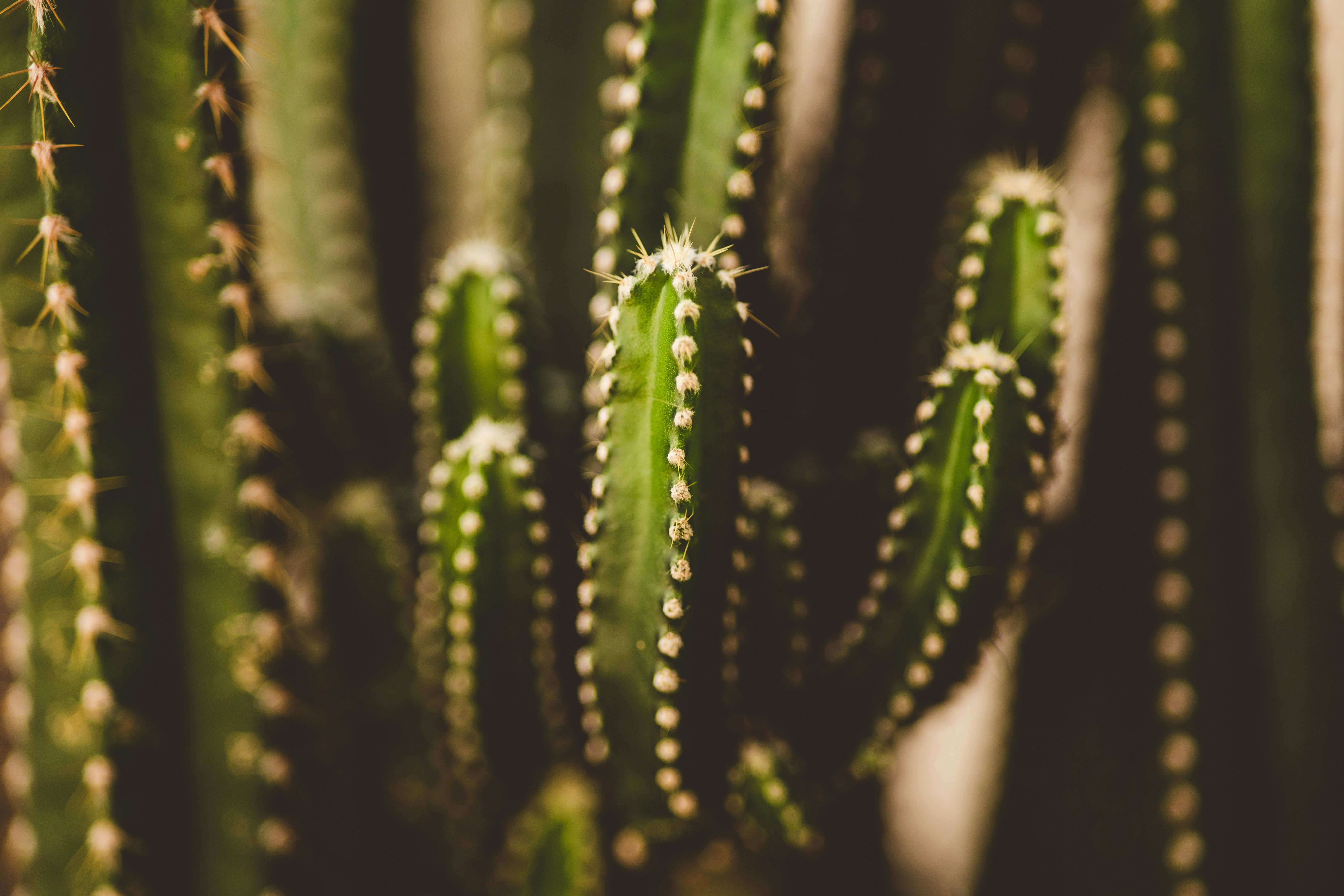 Photo by rrodriguesim