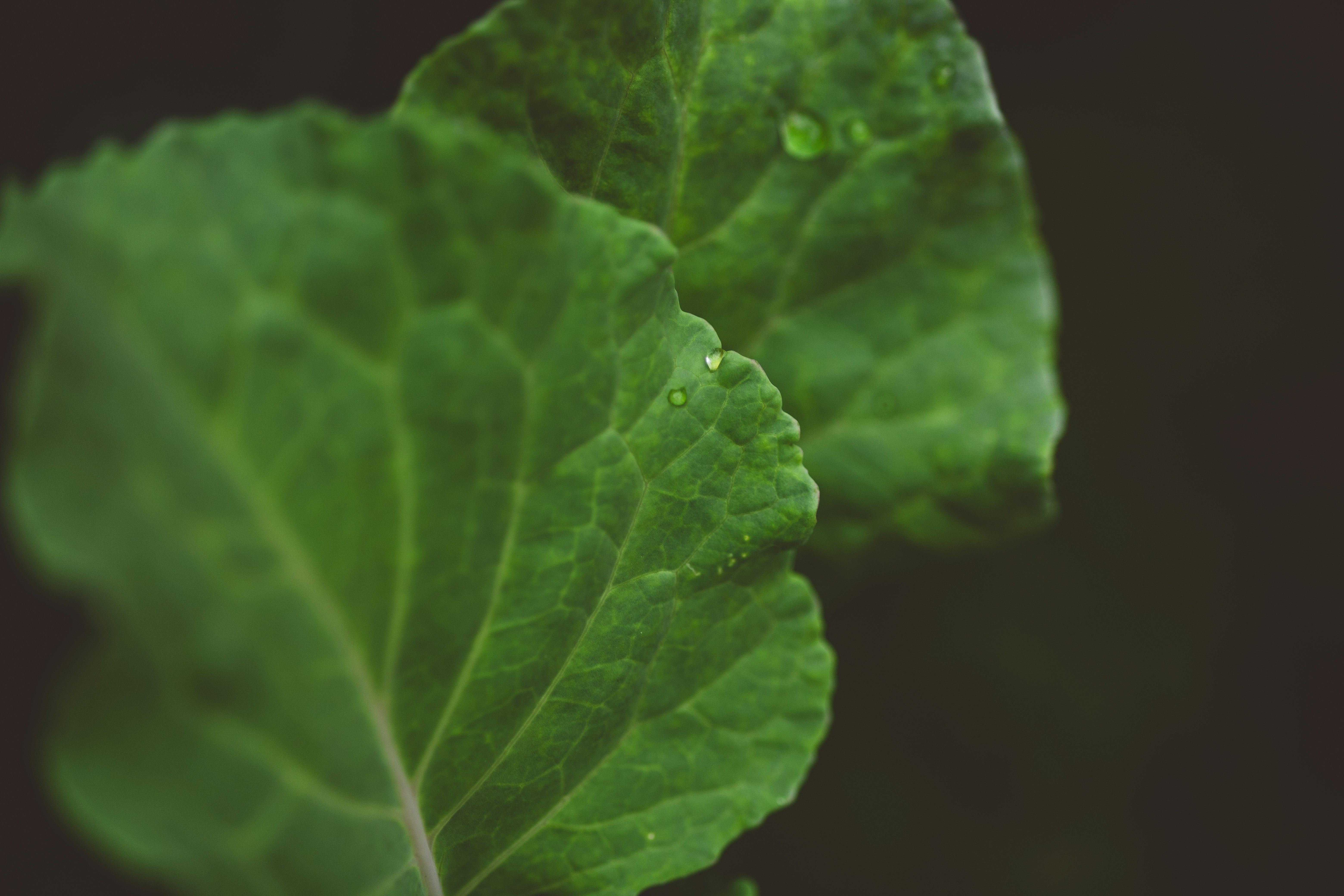 Photo by rrodriguesim