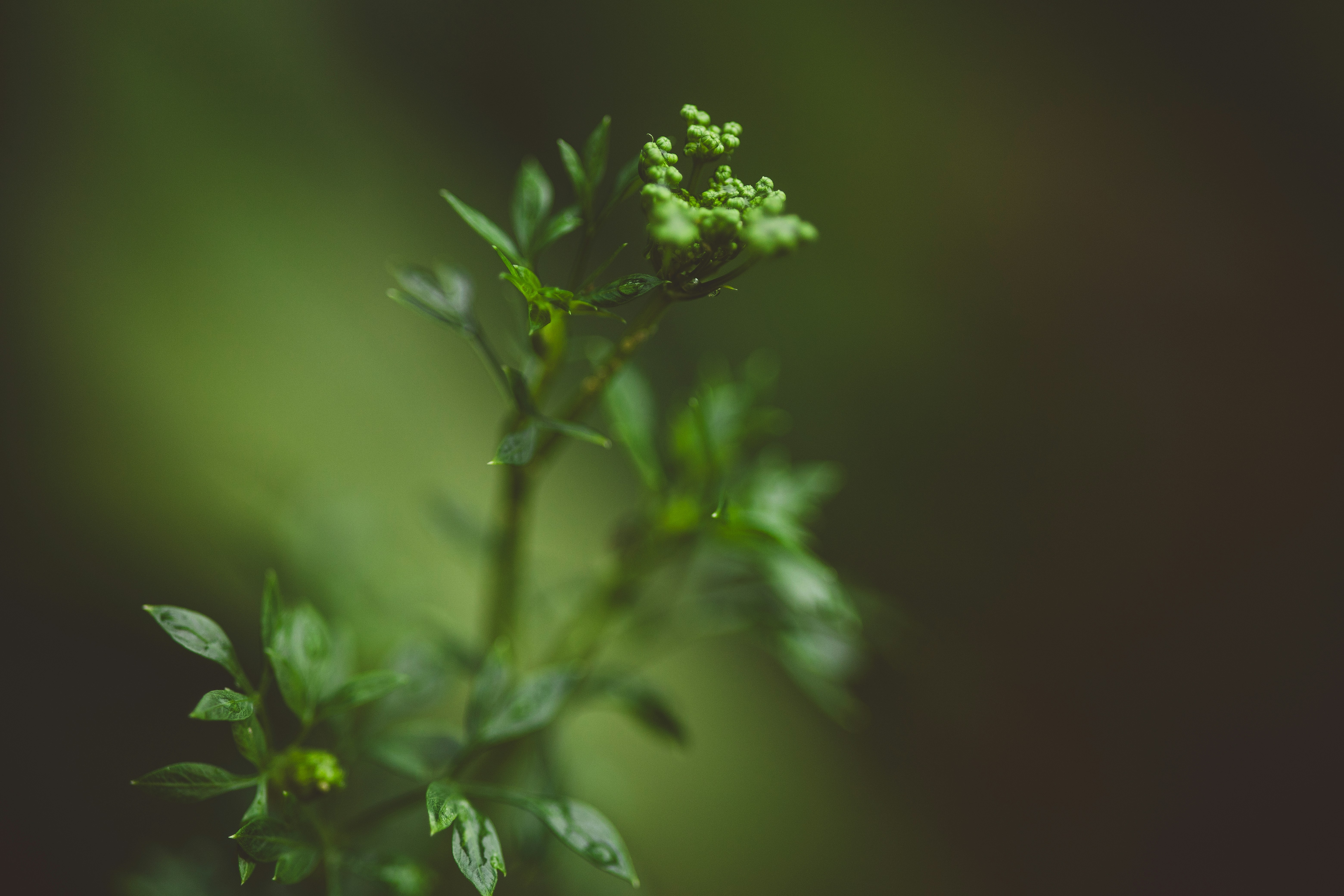 Photo by rrodriguesim