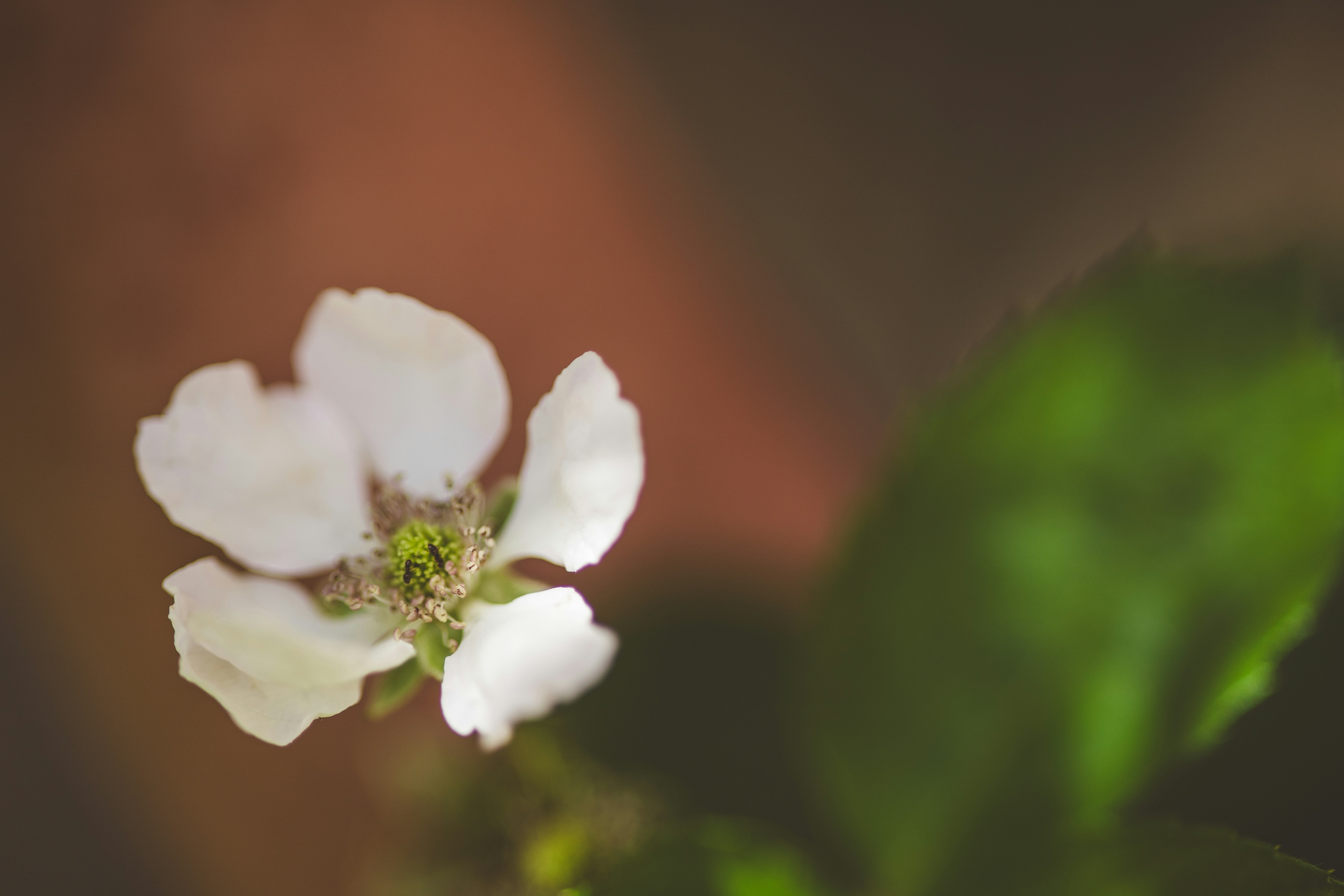 Photo by rrodriguesim