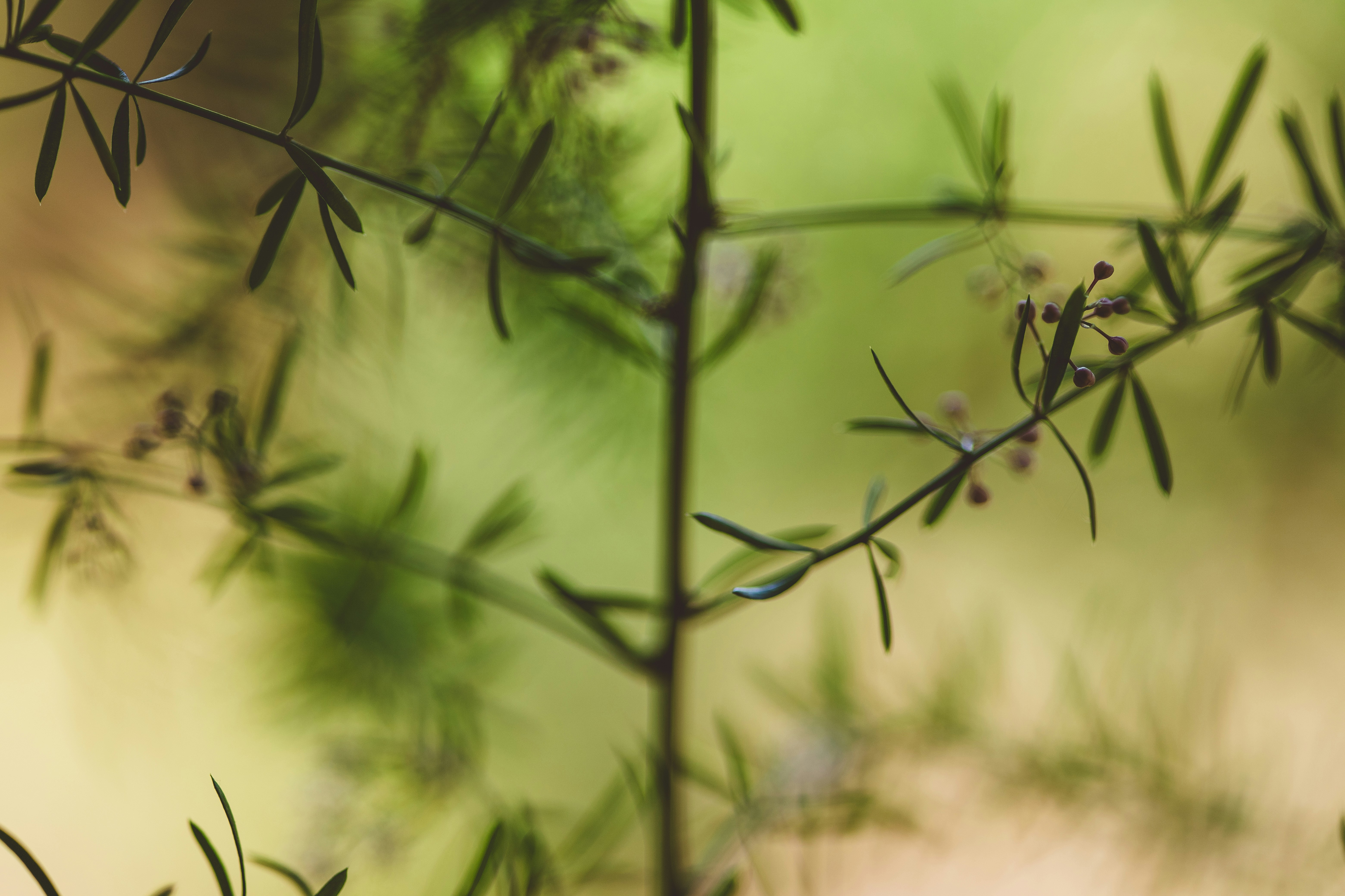 Photo by rrodriguesim