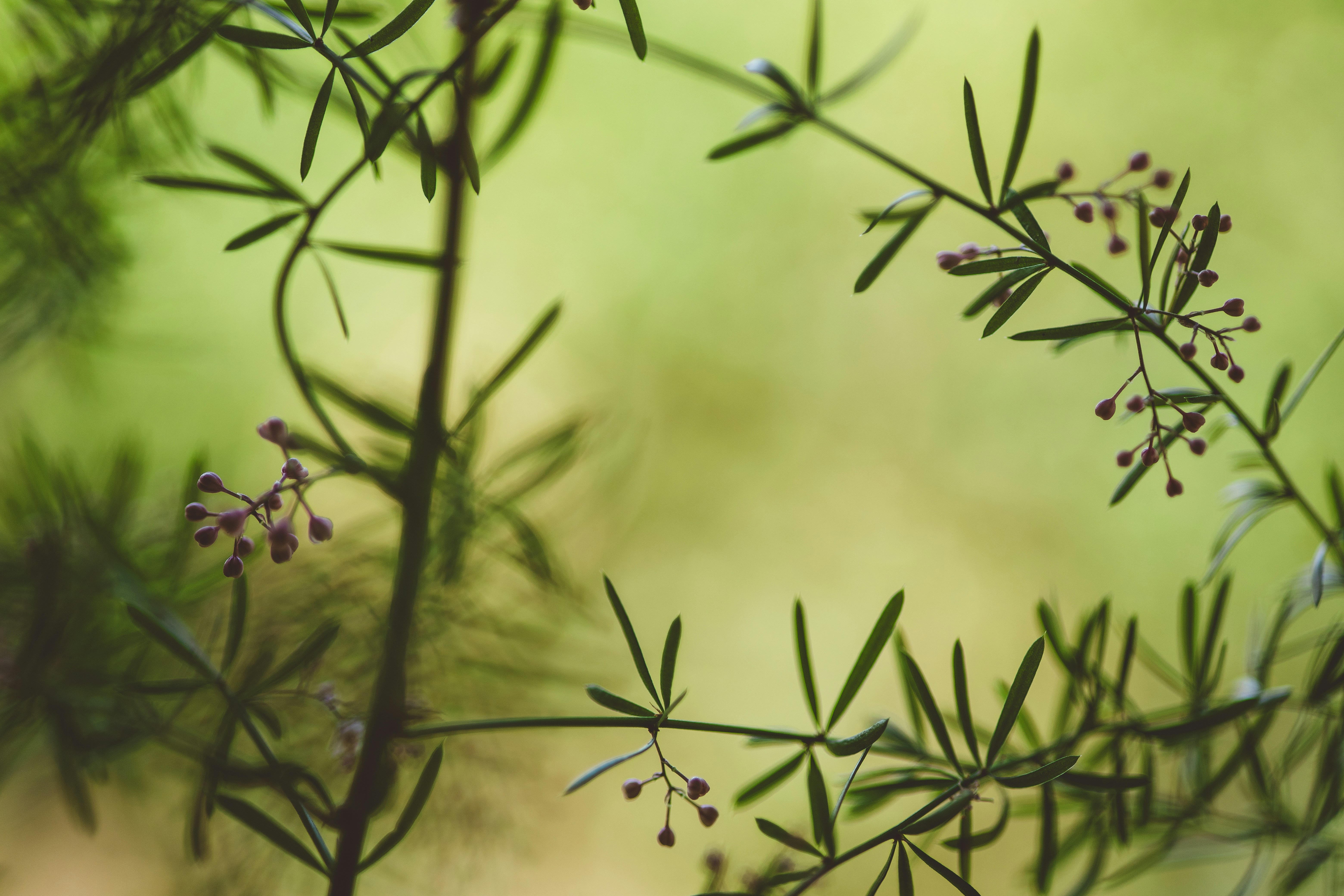 Photo by rrodriguesim