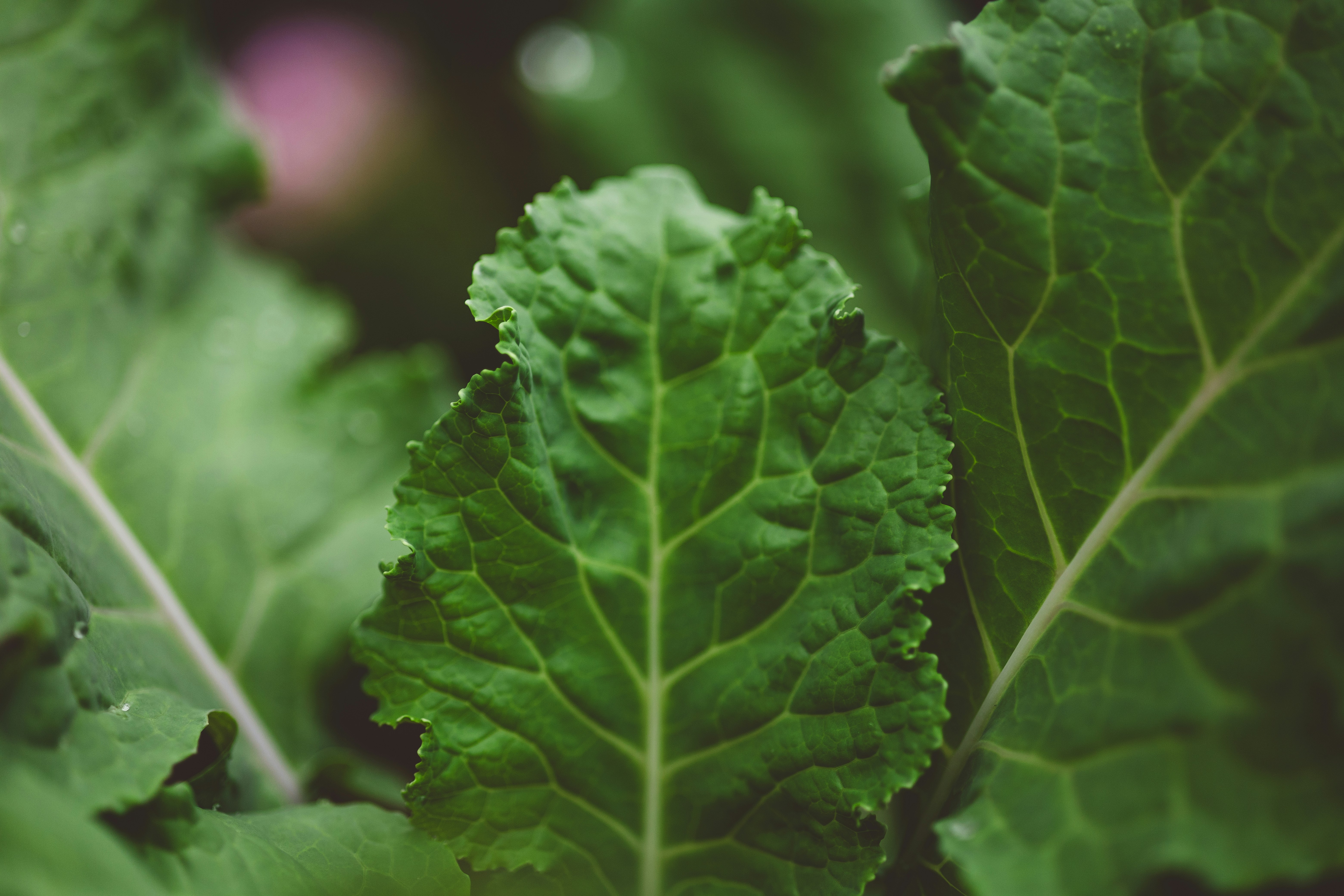 Photo by rrodriguesim