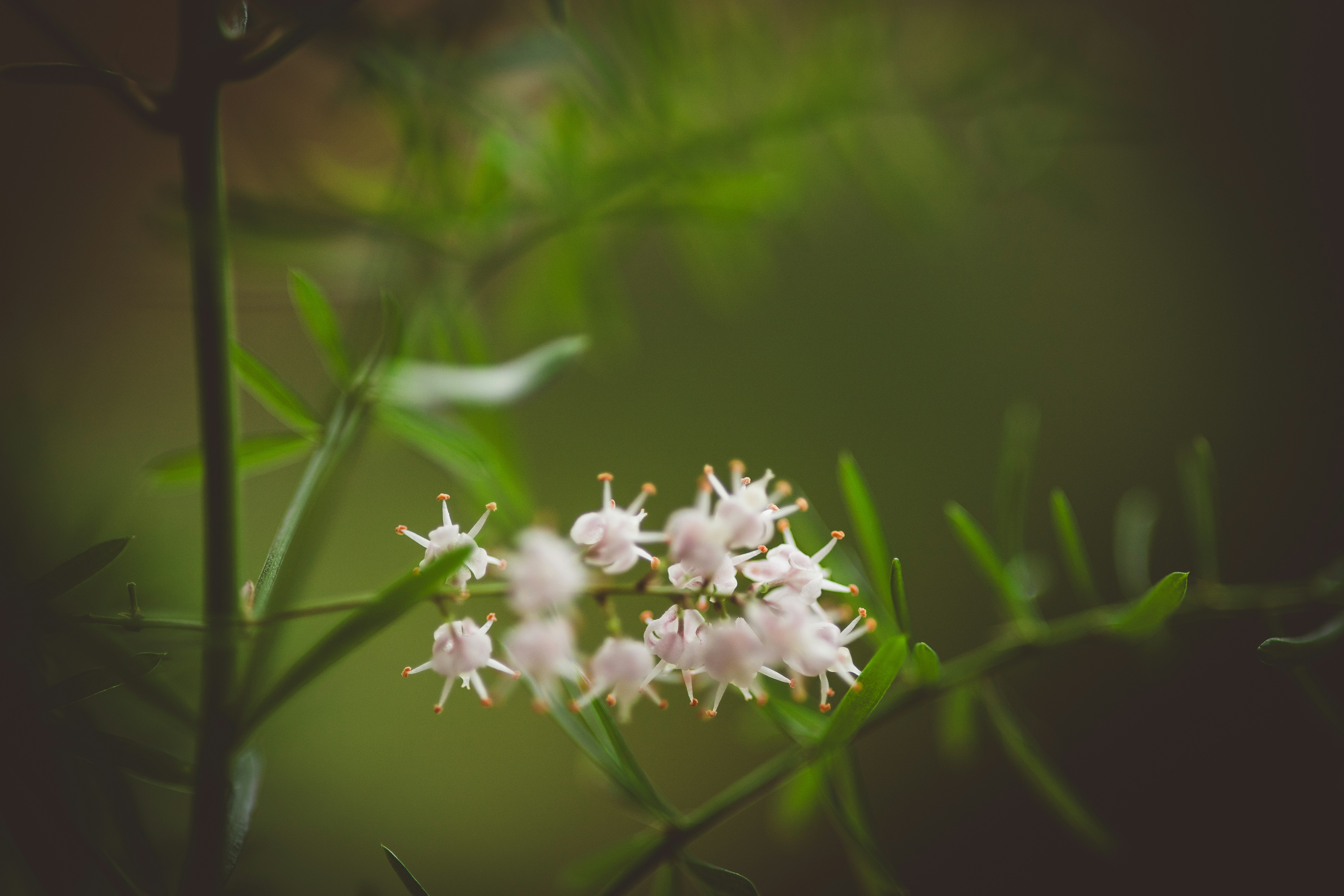 Photo by rrodriguesim