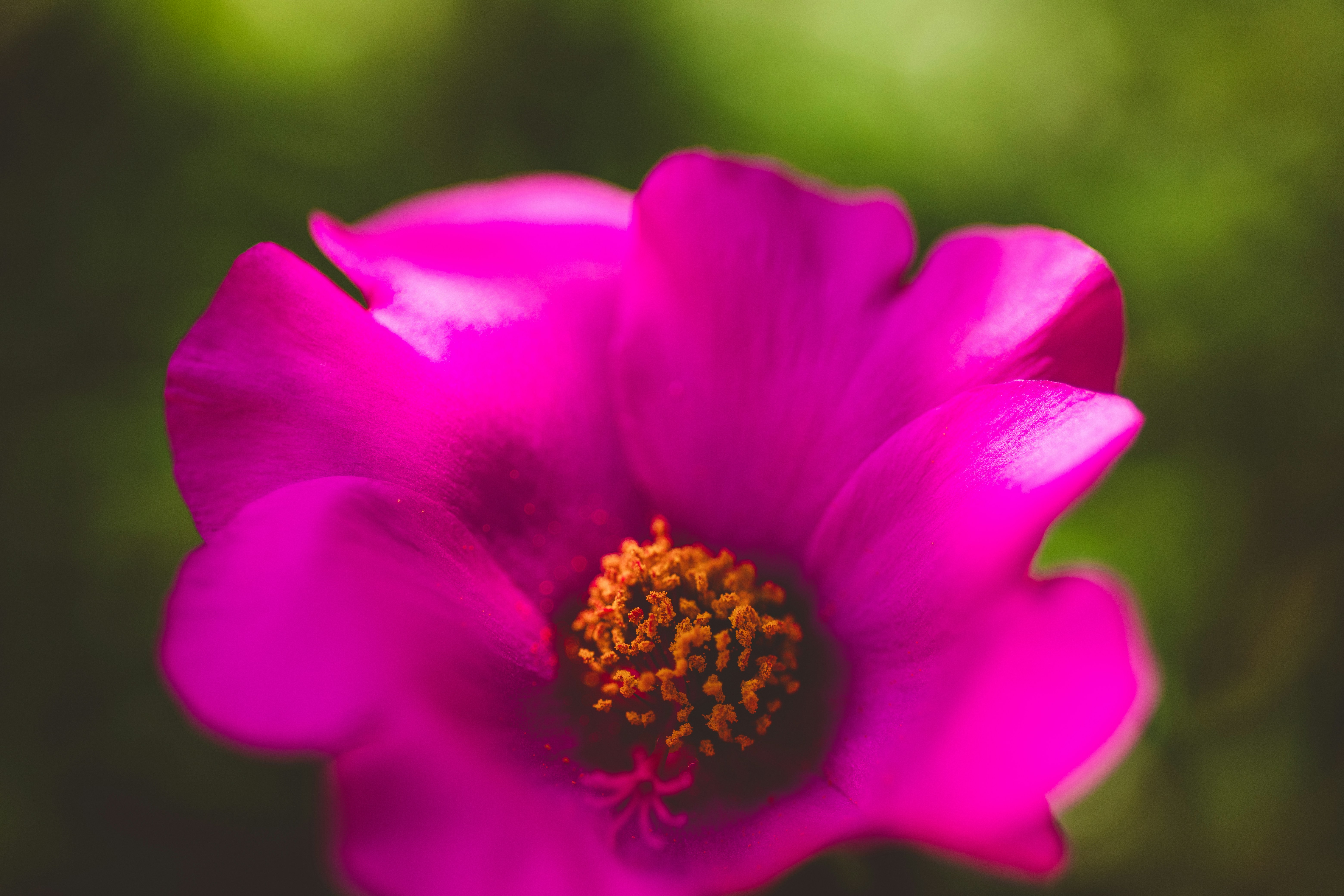 Photo by rrodriguesim