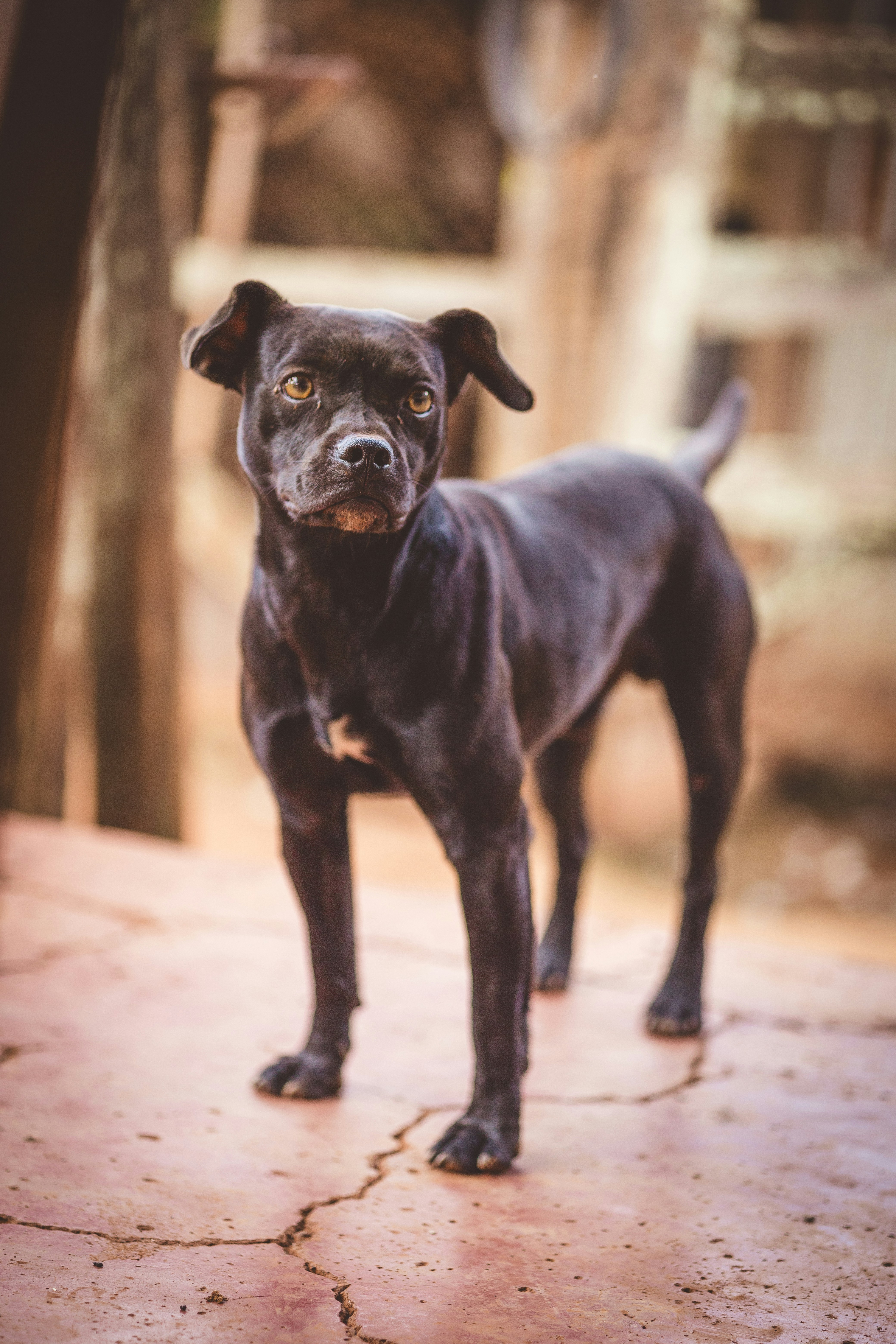 Photo by rrodriguesim