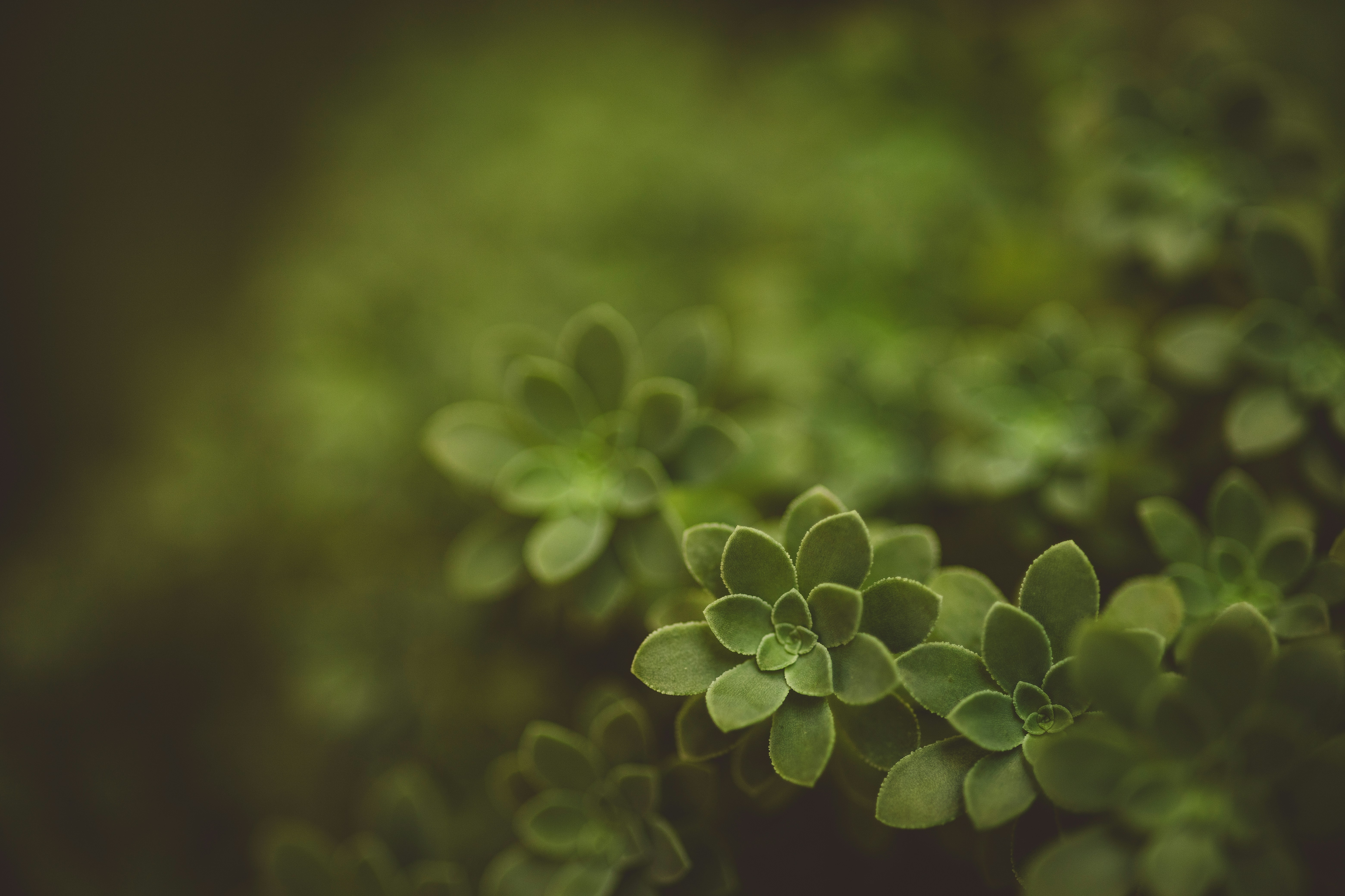 Photo by rrodriguesim