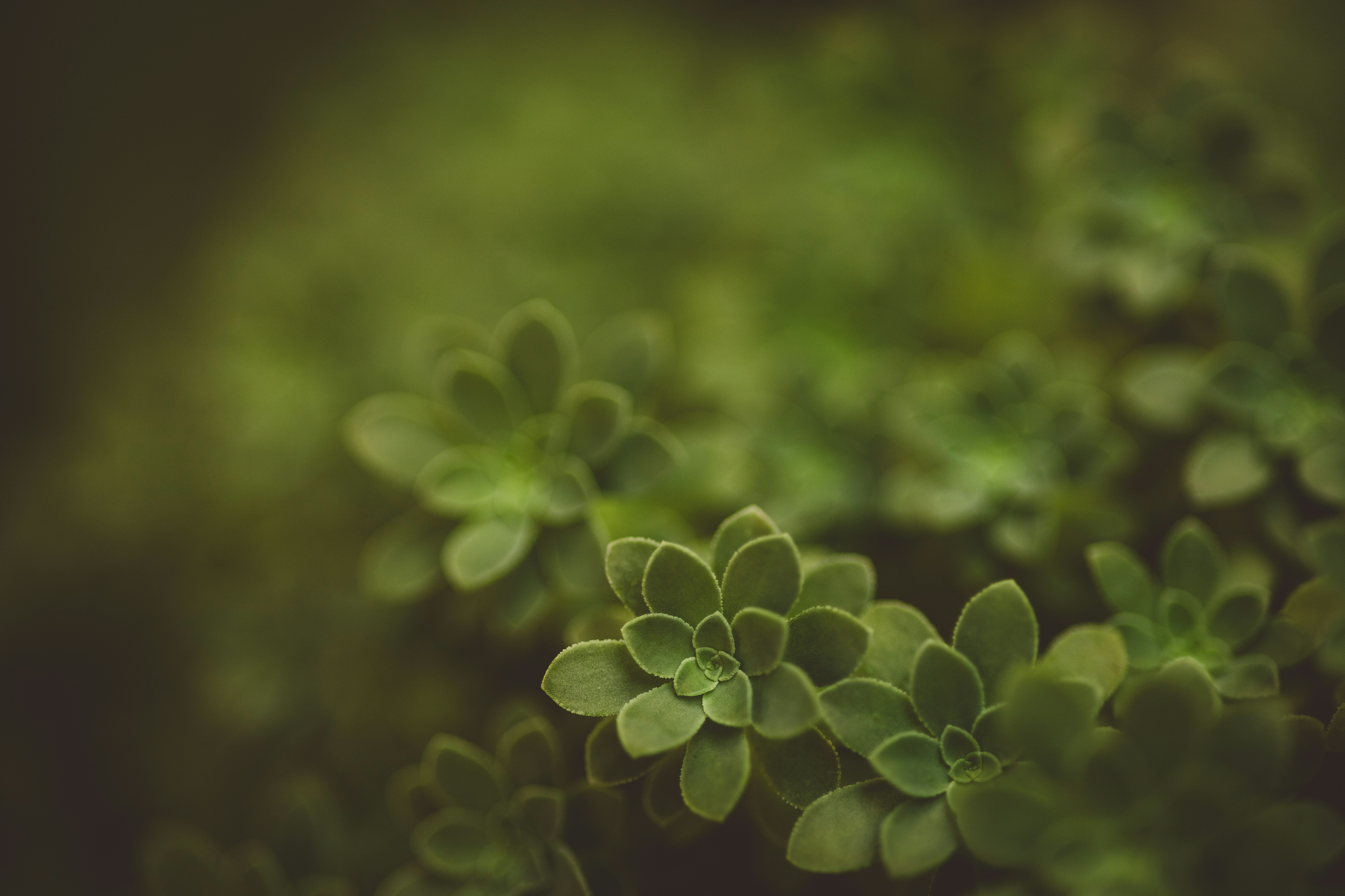 Photo by rrodriguesim