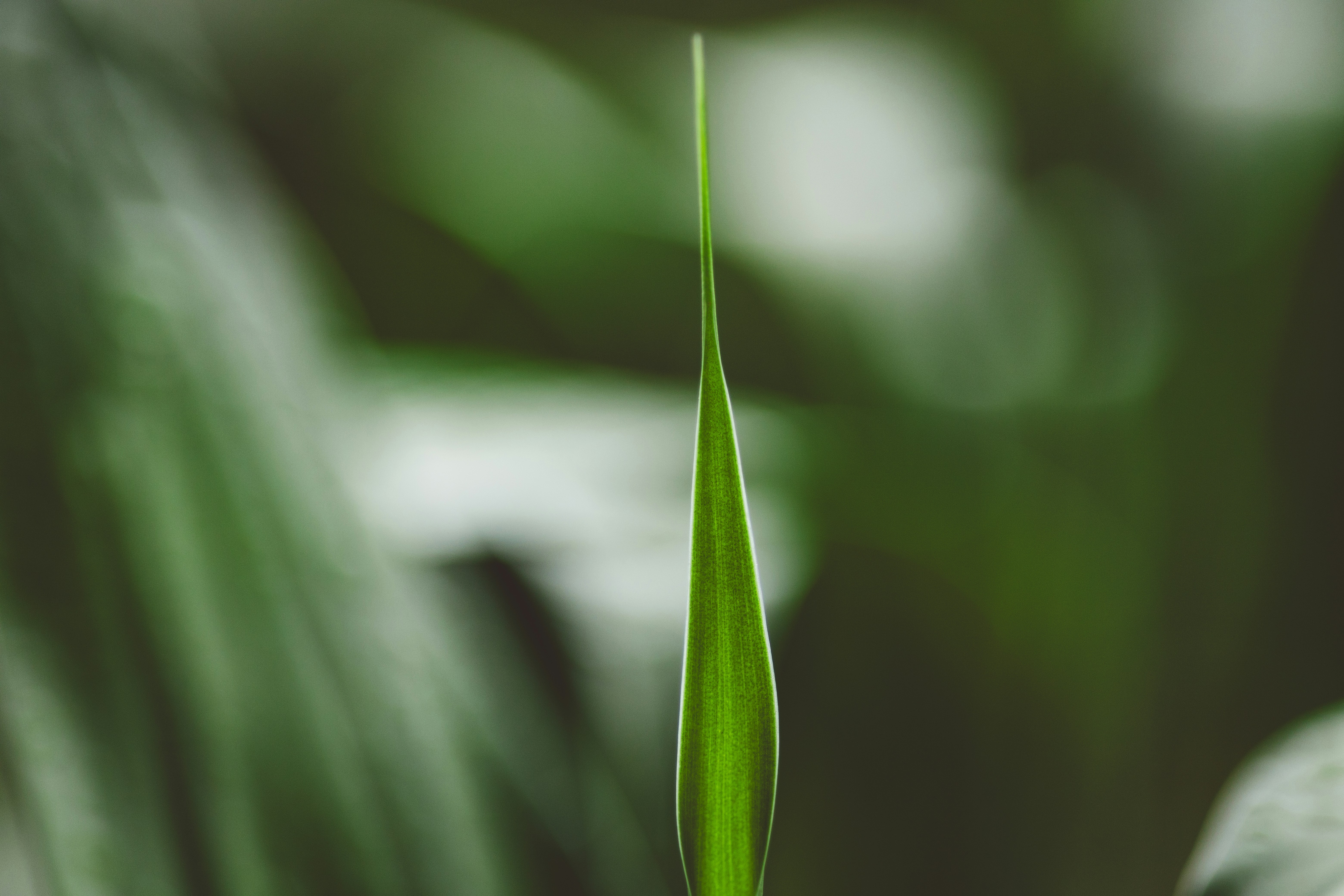 Photo by rrodriguesim