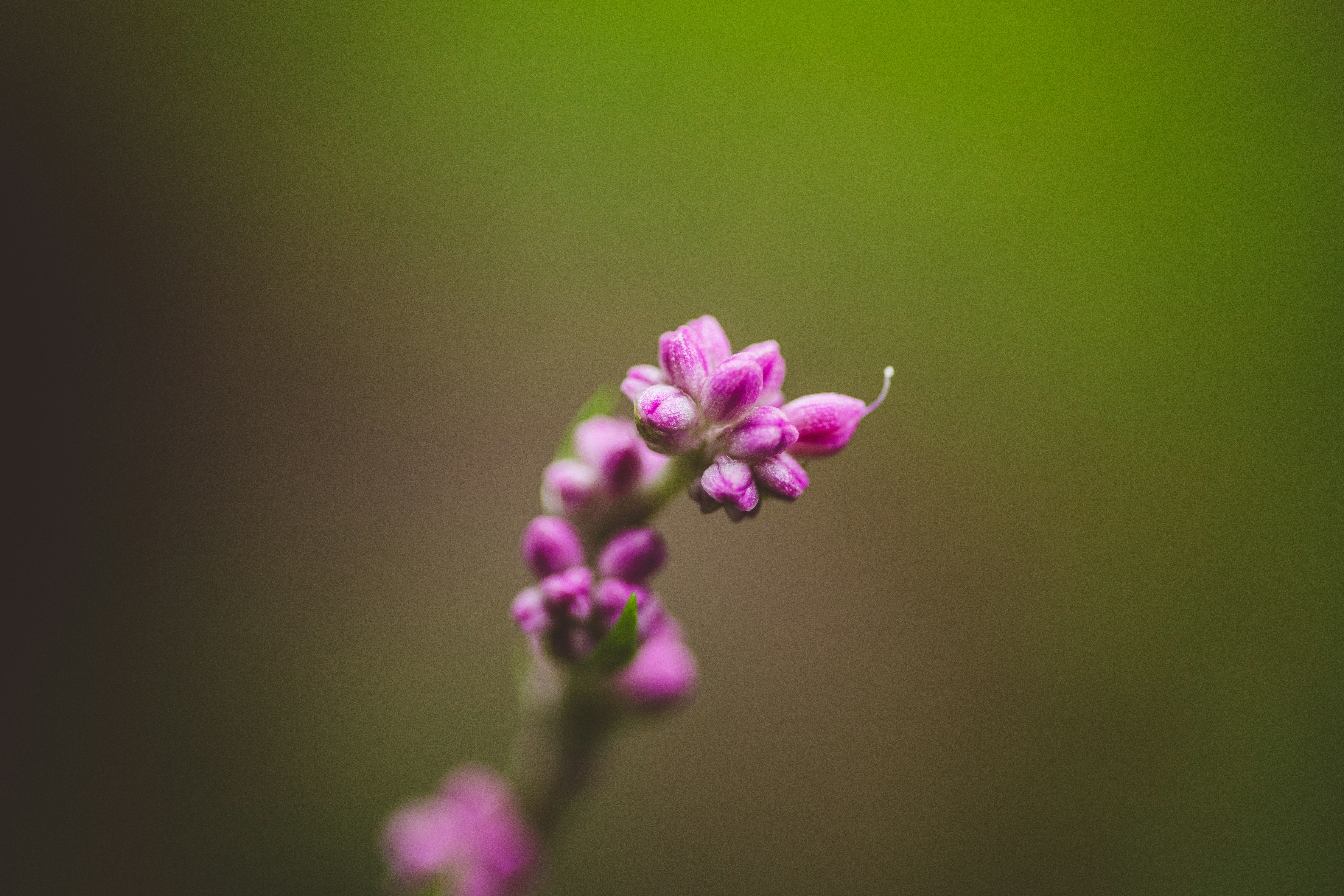 Photo by rrodriguesim