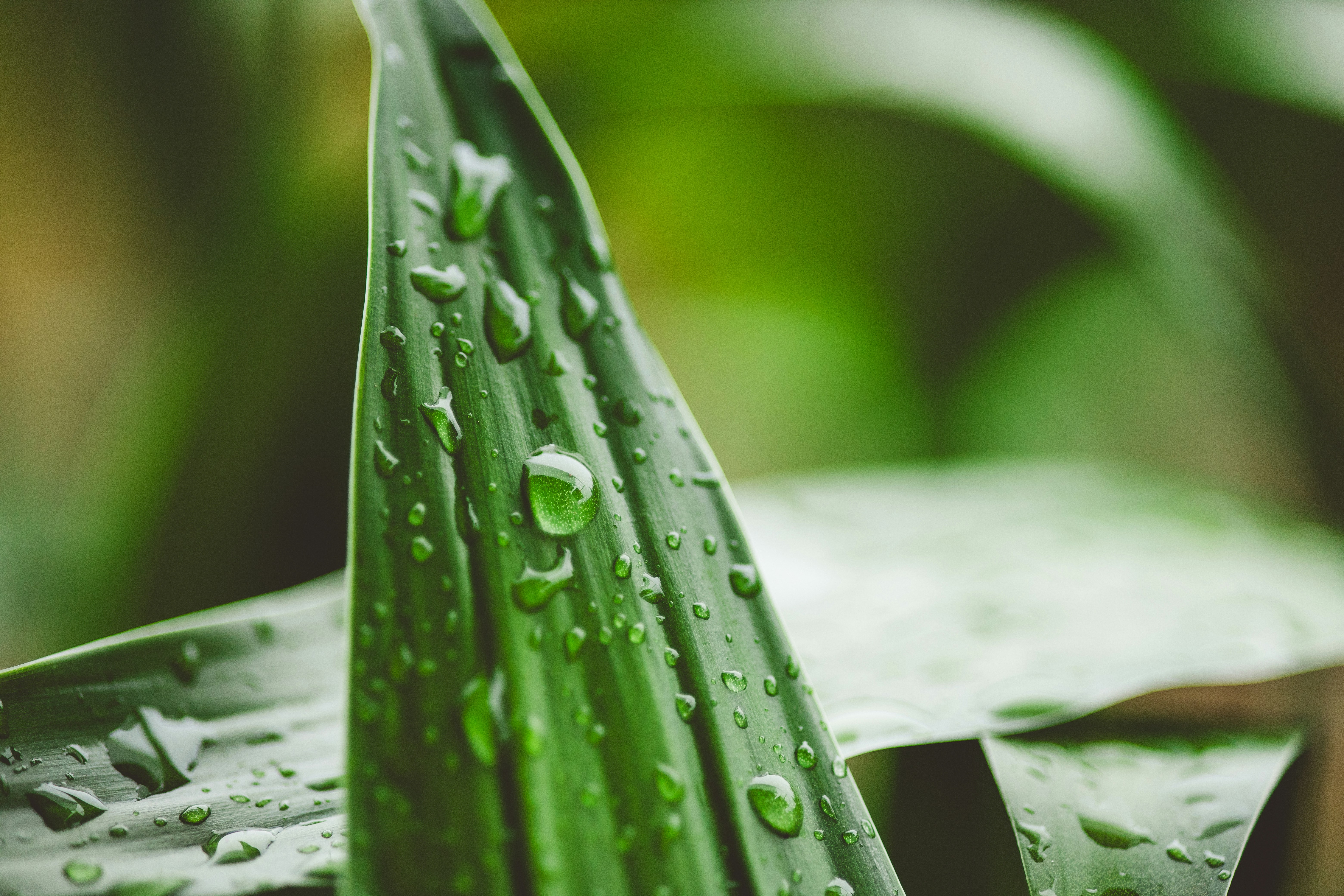 Photo by rrodriguesim