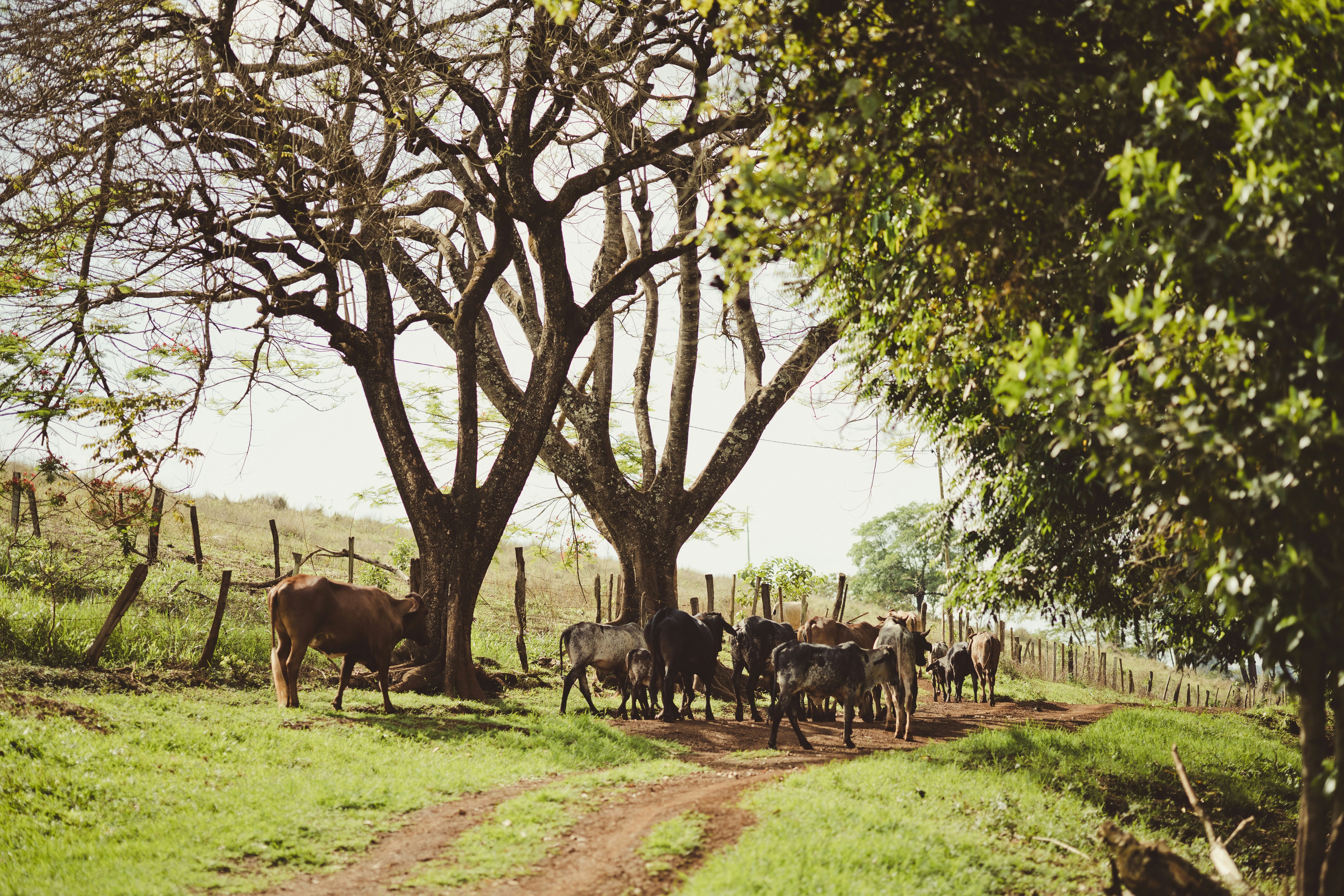 Photo by rrodriguesim