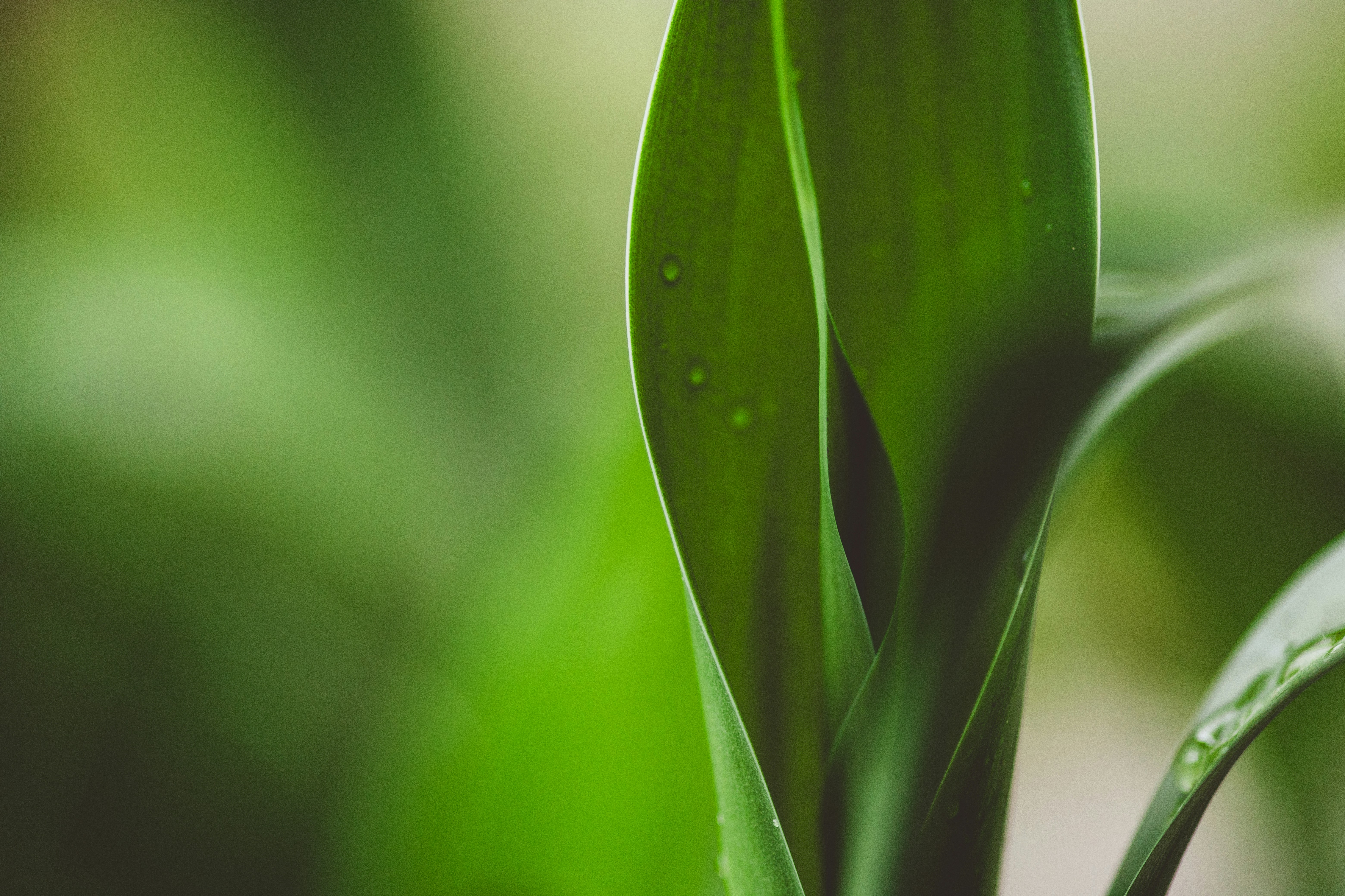 Photo by rrodriguesim