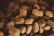 A close-up view of a pile of dry brown pet food, with irregularly shaped pieces in varying shades of brown.