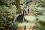 A mountain bike with thick tires is positioned on a narrow dirt trail surrounded by lush green foliage and trees, suggesting an outdoor adventure setting.