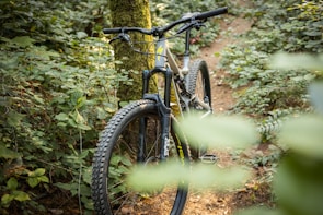 A mountain bike with thick tires is positioned on a narrow dirt trail surrounded by lush green foliage and trees, suggesting an outdoor adventure setting.