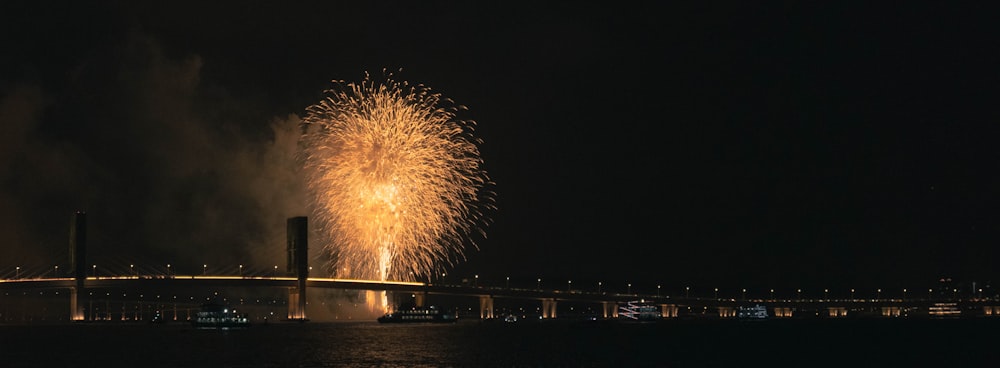 a large fireworks is lit up in the night sky