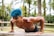 A woman doing push-ups in a vibrant training environment.