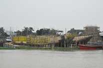 Several large boats under construction are positioned by a riverside. The hulls are surrounded by scaffolding and wooden supports. Yellow and reddish paint is visible on parts of the structures. In the background, there are trees, small buildings, and power lines under an overcast sky.