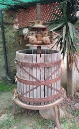 Traditional cold-press mustard oil extraction in a rustic wooden press.