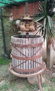 Traditional cold-press mustard oil extraction in a rustic wooden press.