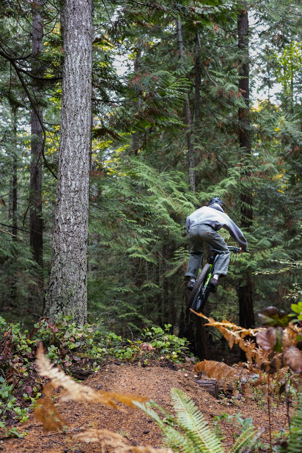 un uomo in sella a una bicicletta attraverso una foresta