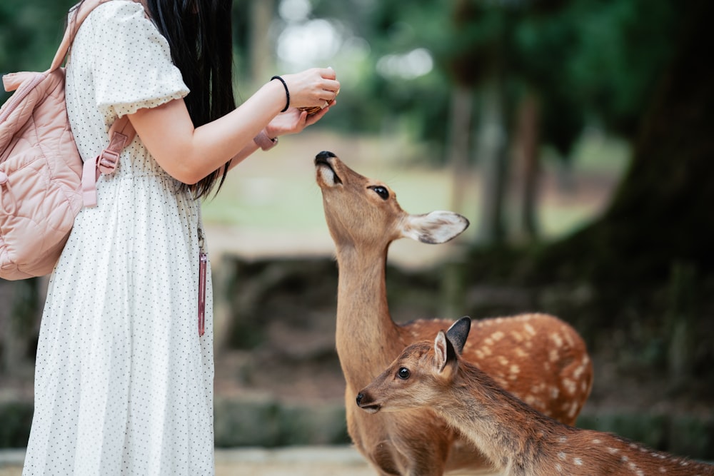 a woman in a white dress feeding a deer