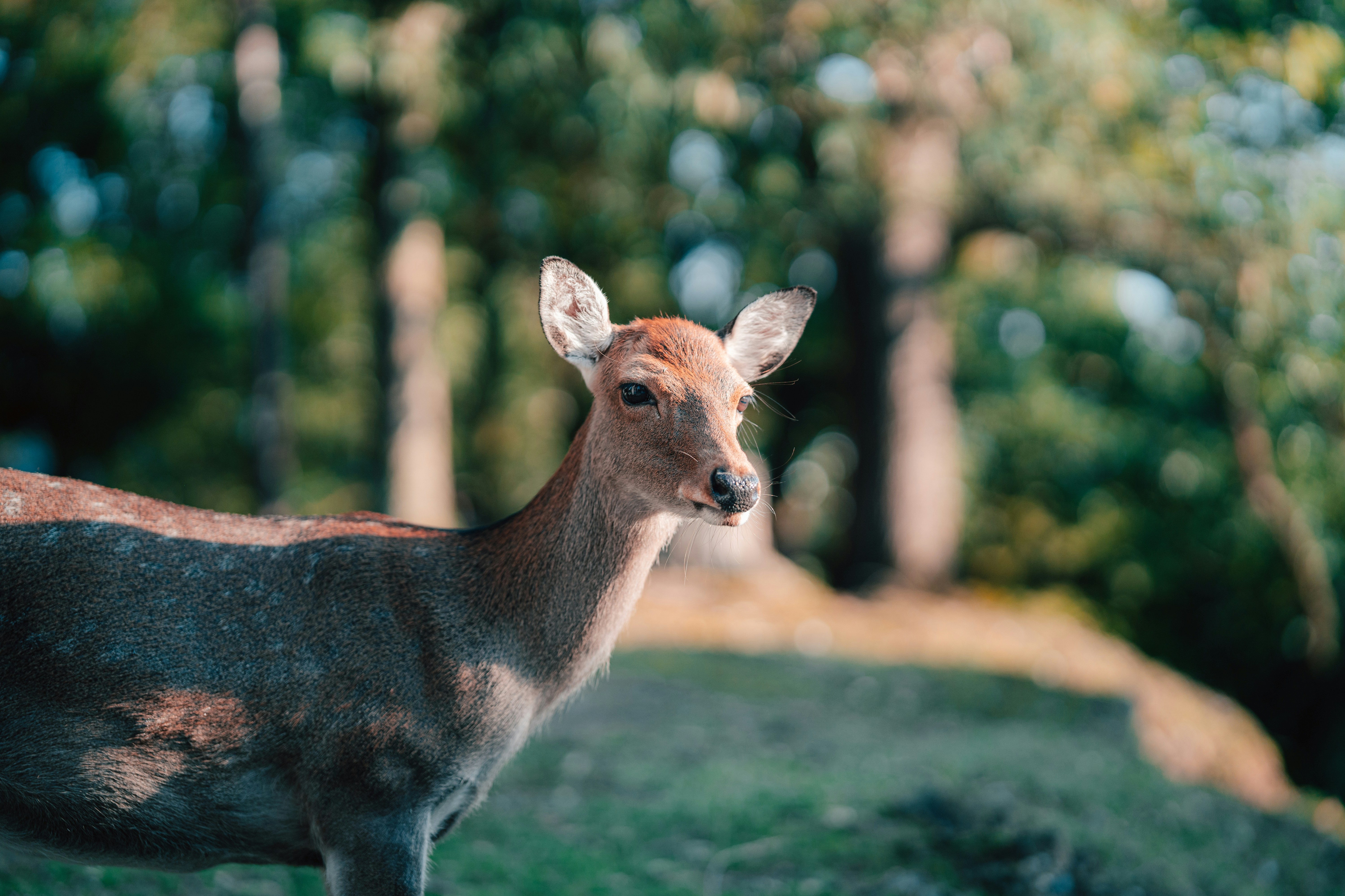 Photo by spensersembrat