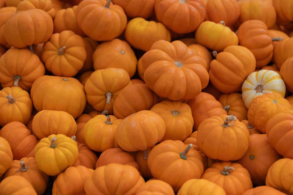 a pile of orange pumpkins sitting next to each other