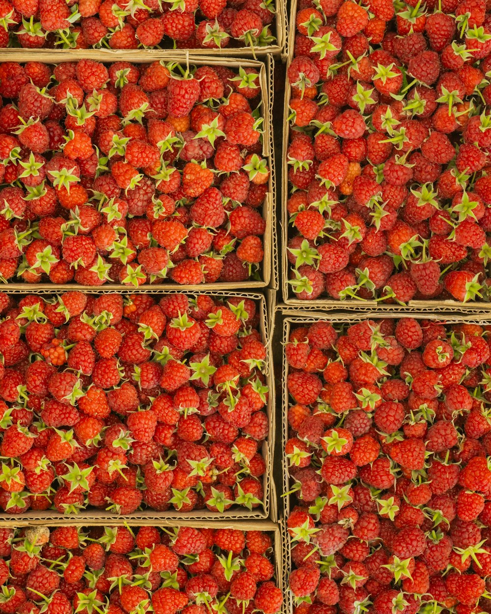 a group of boxes filled with lots of ripe strawberries