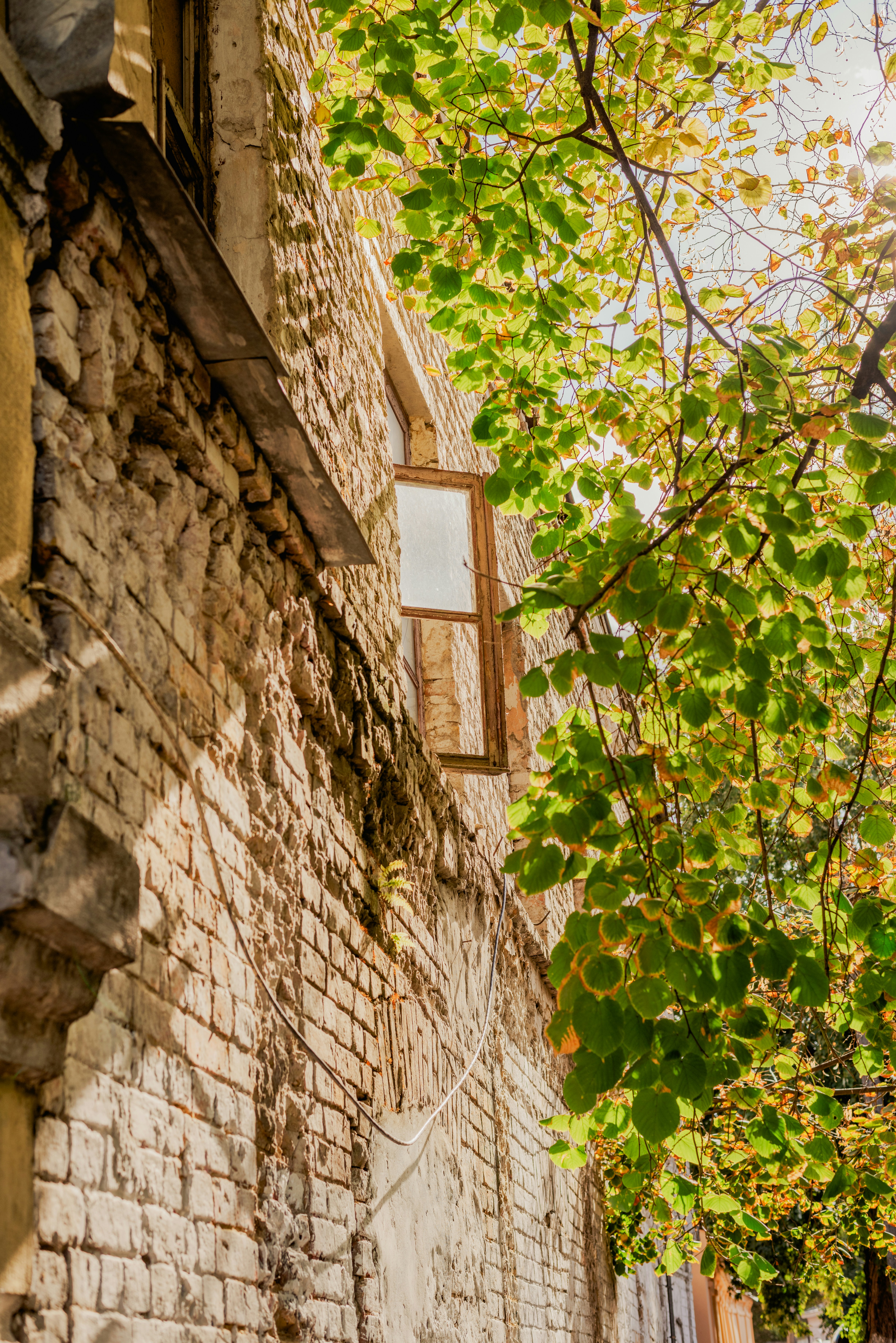 Photo by eugenivy_now