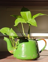a green watering can with a plant in it
