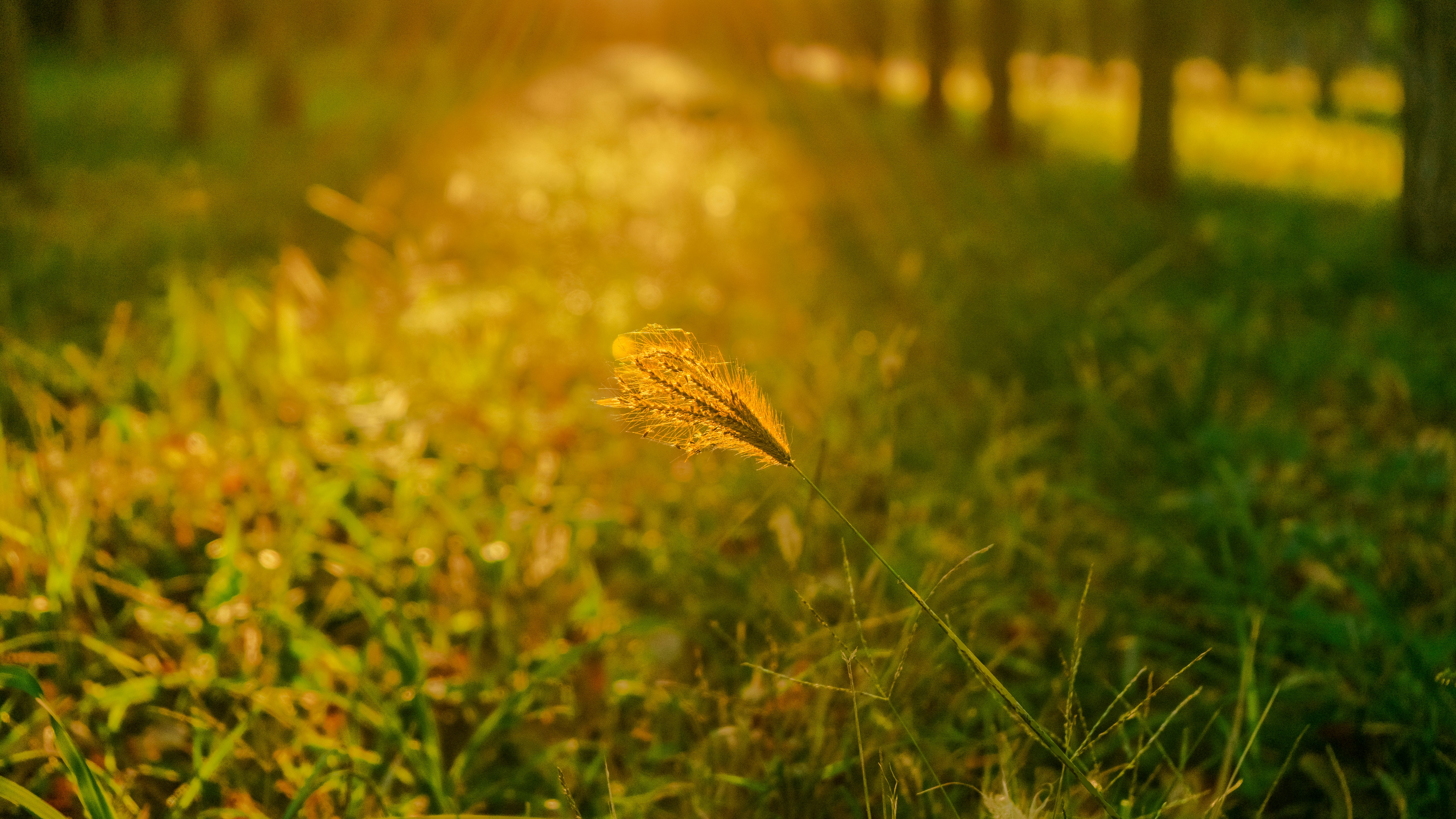 Photo by shangliukeji