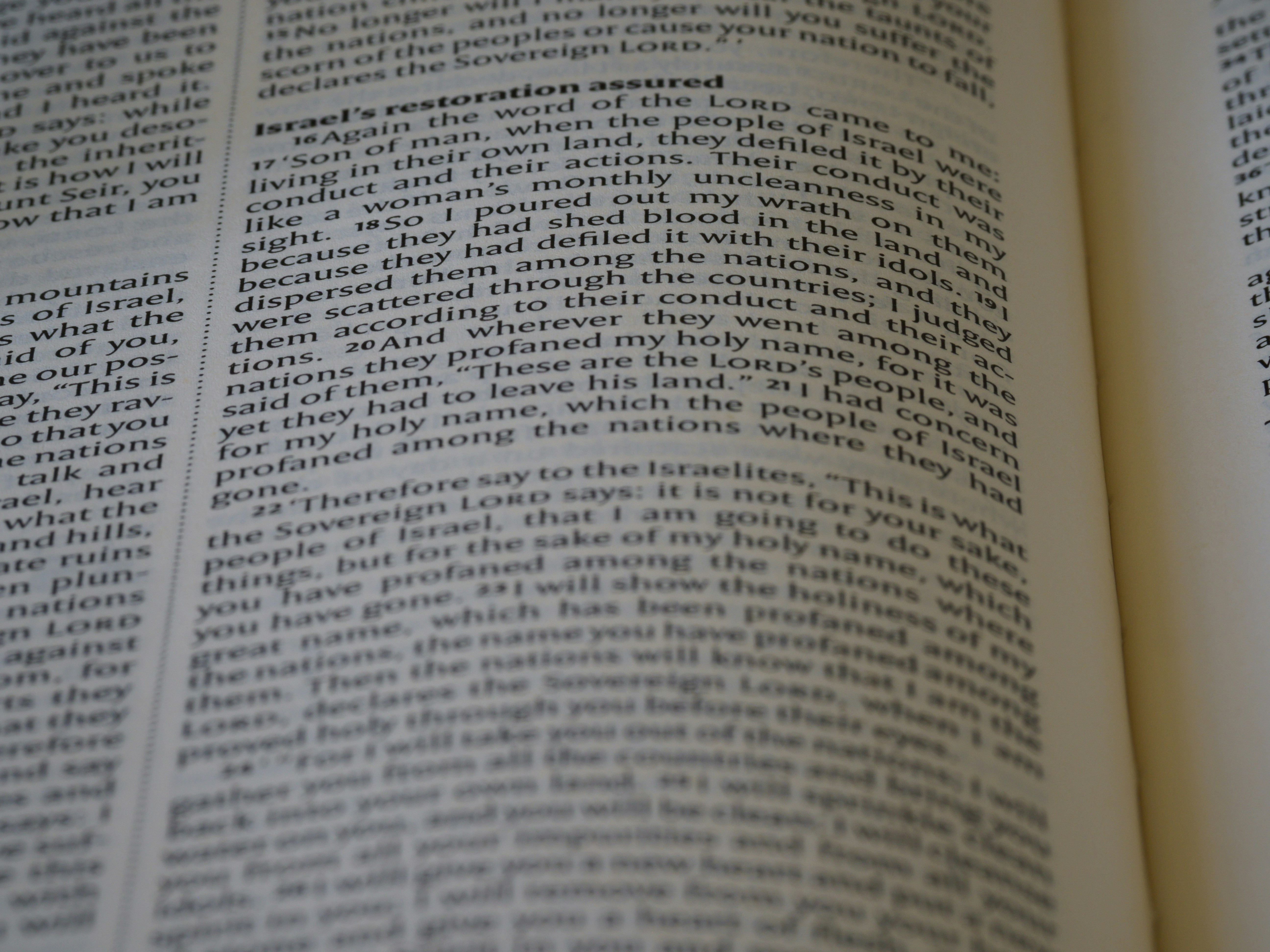 Photo by brett_jordan