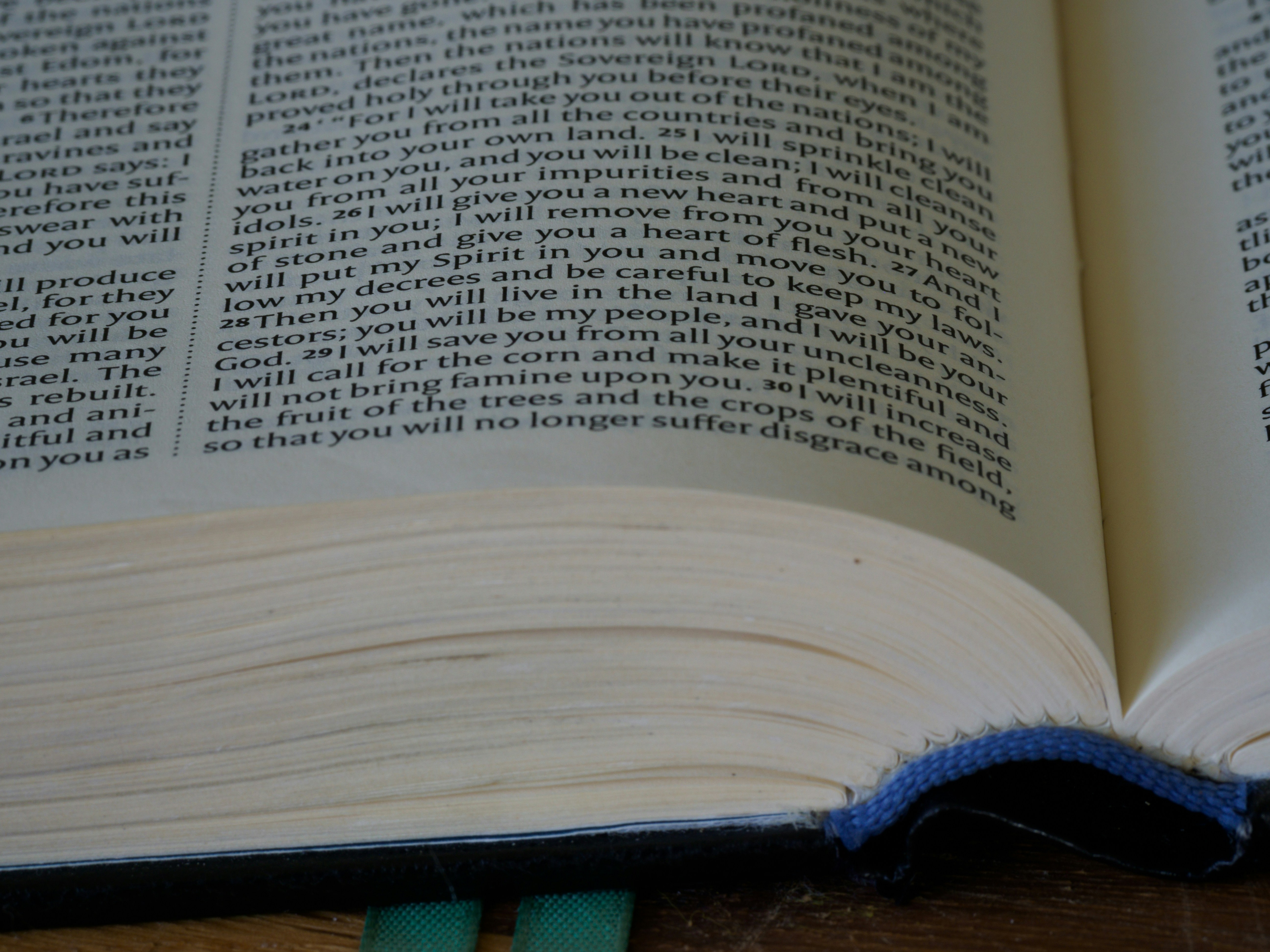 Photo by brett_jordan