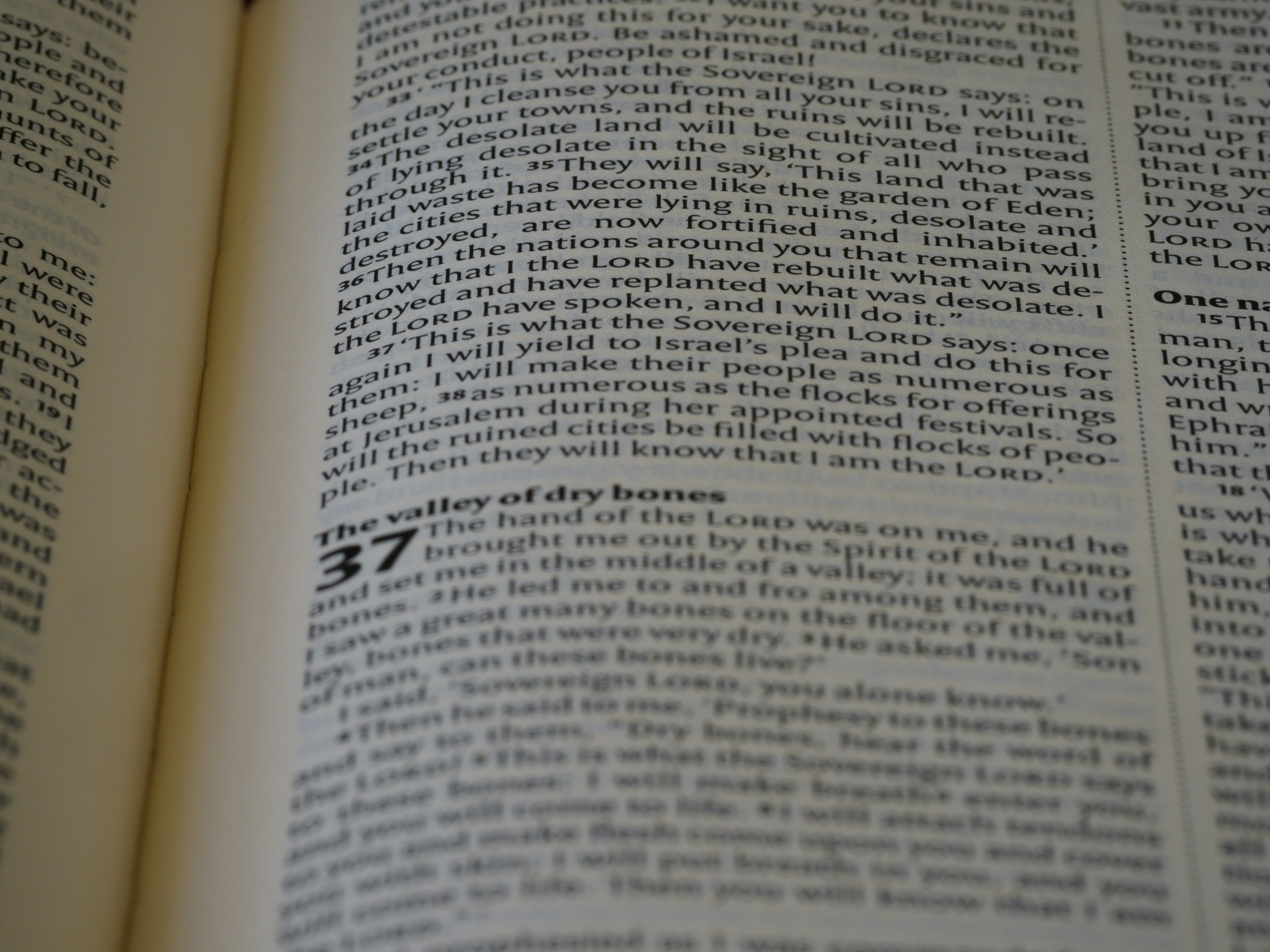 Photo by brett_jordan