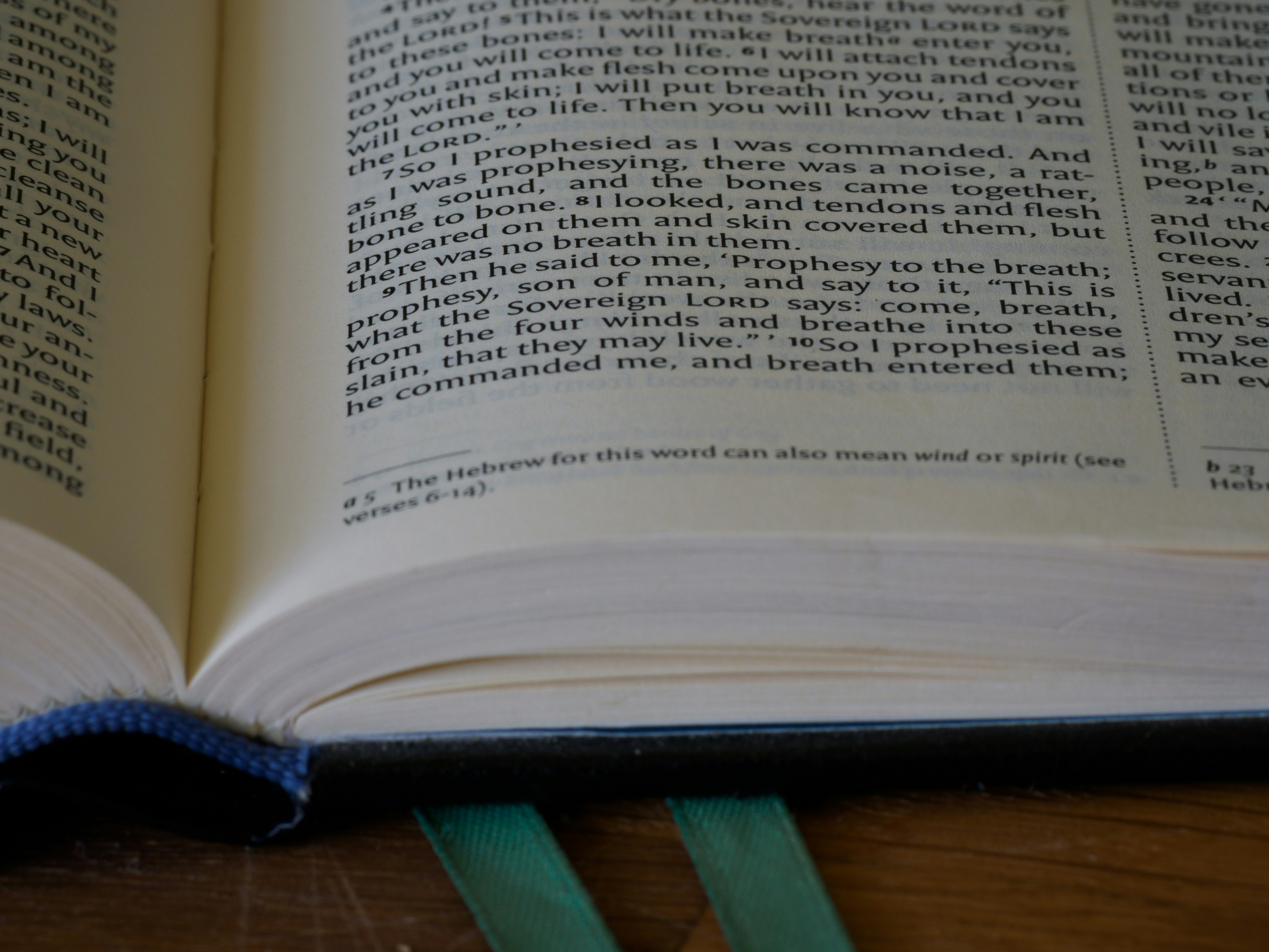 Photo by brett_jordan