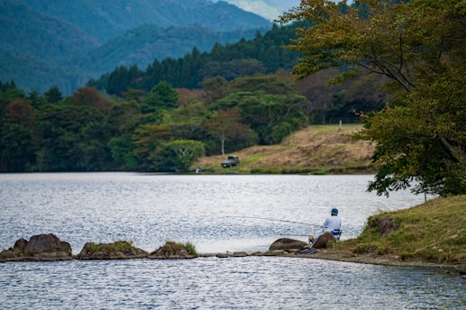A serene lake with a person in a wheelchair fishing from a dock surrounded by lush greenery.
