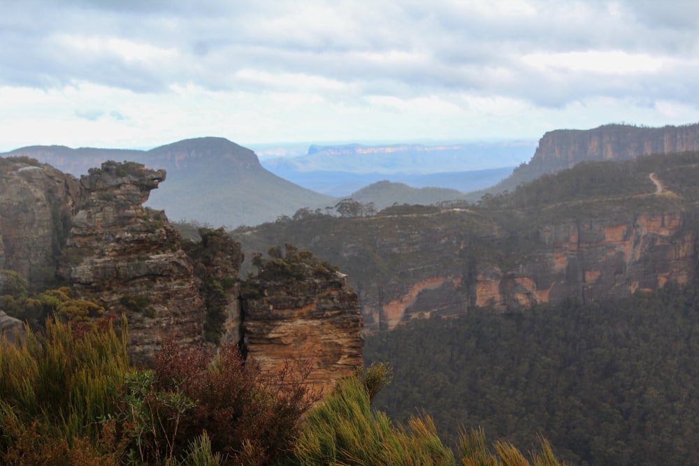 a view of a mountain range with a few trees in the foreground