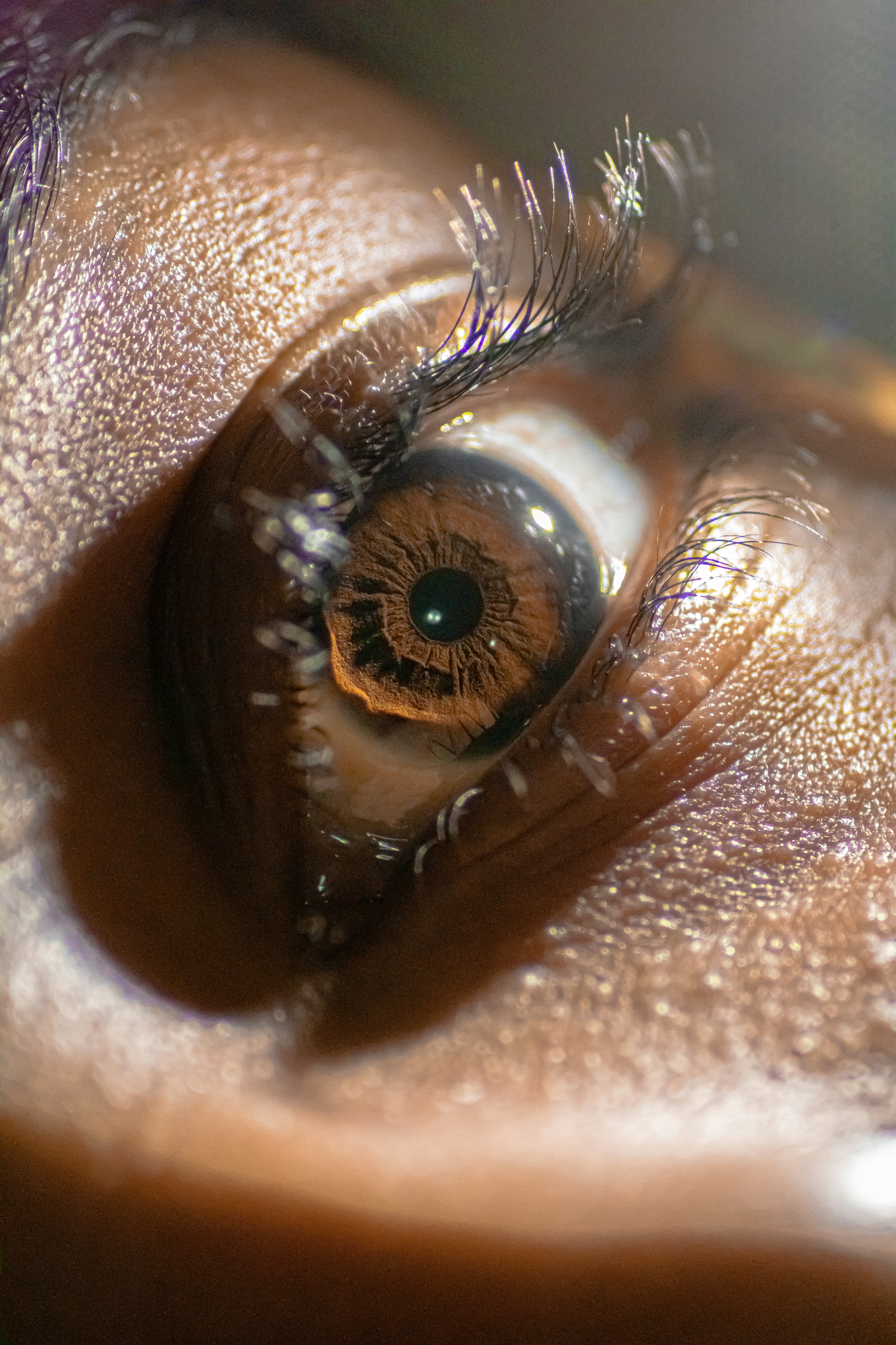 photo-1697437858870-758a41c7a049?ixid=M3wxMjA3fDB8MXxzZWFyY2h8MTR8fGV5ZW9maG9ydXNjYXNpbm8uY29tfGVufDB8fHx8MTc1ODk0MTY1MHww\u0026ixlib=rb-4.1.0