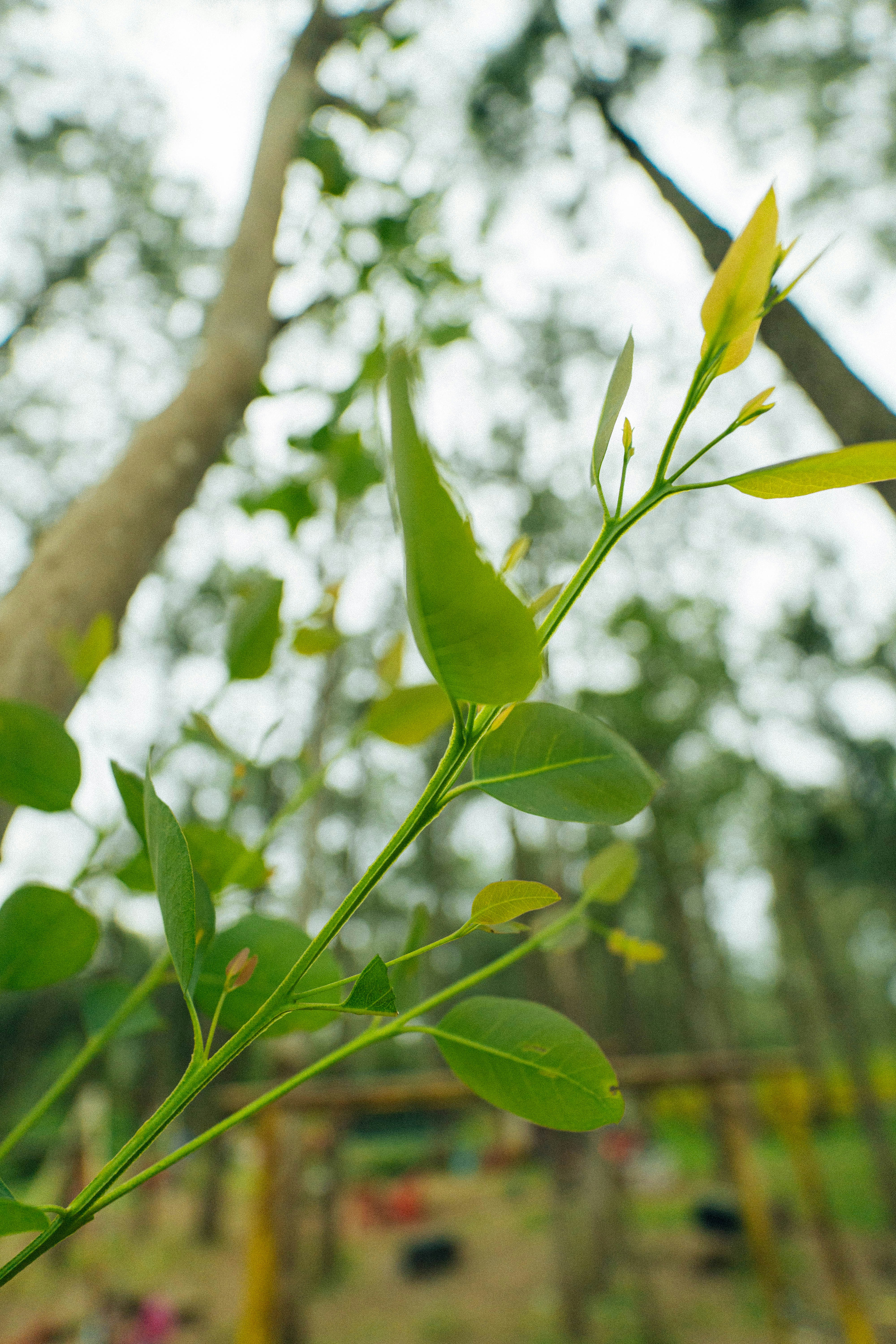 Photo by jonathecreator